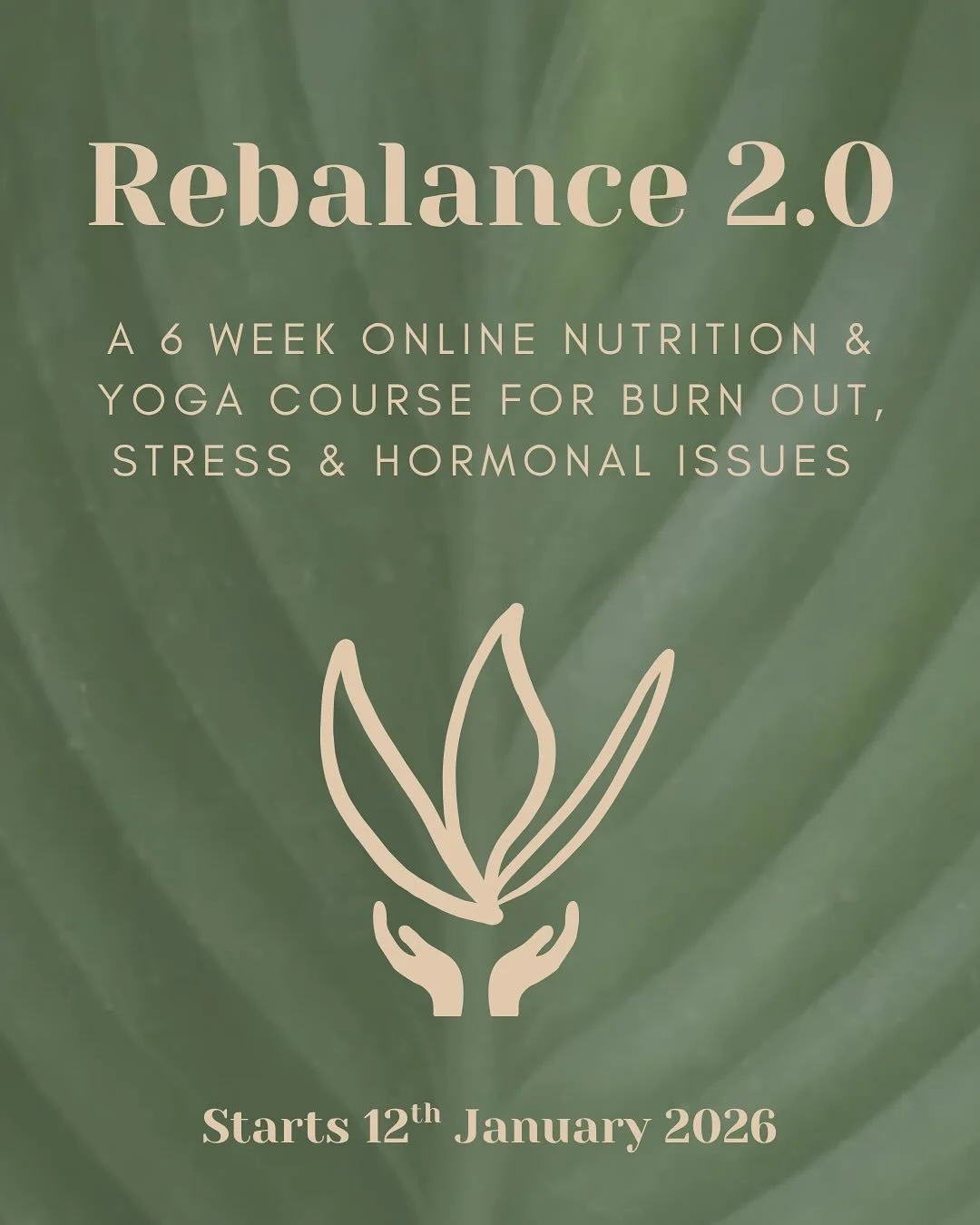π± REBALANCE 2.0 STARTS 12TH JANUARY 2026 π±
I’m delighted to be offering Rebalance for a second time around, starting in the New Year!!
After incredible feedback from the current intake and interest from you for future sessions, I’m d