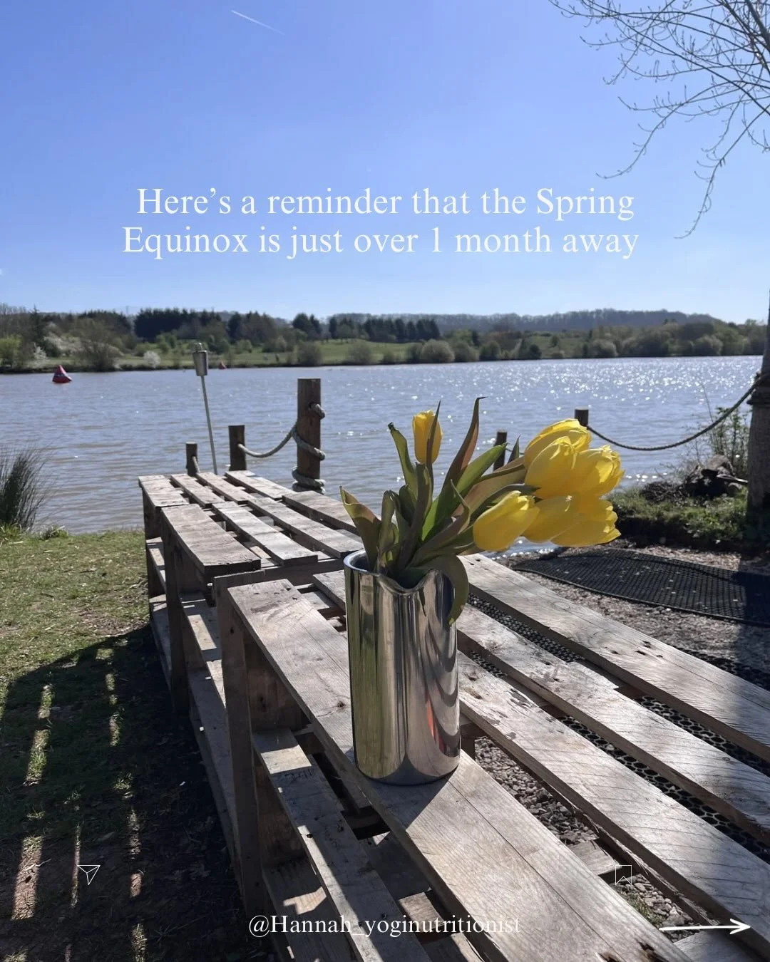 Just in case you need it&hellip; Spring is coming 🌱

The light, the warmth, the colour. 

It&rsquo;s all in touching distance. 

Keep going - we&rsquo;re nearly there ✨