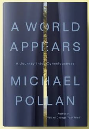 A World Appears