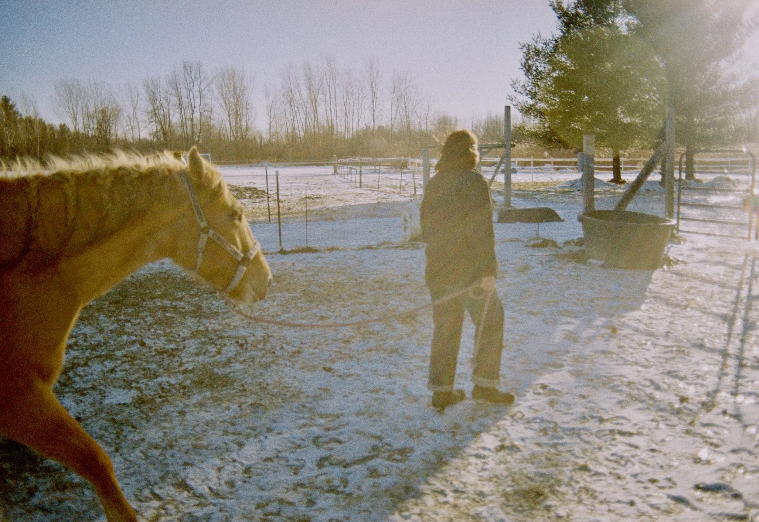 May Willison leads her horse, Dottie, around a farm in rural Octono County, Wisconsin on December 20, 2025.