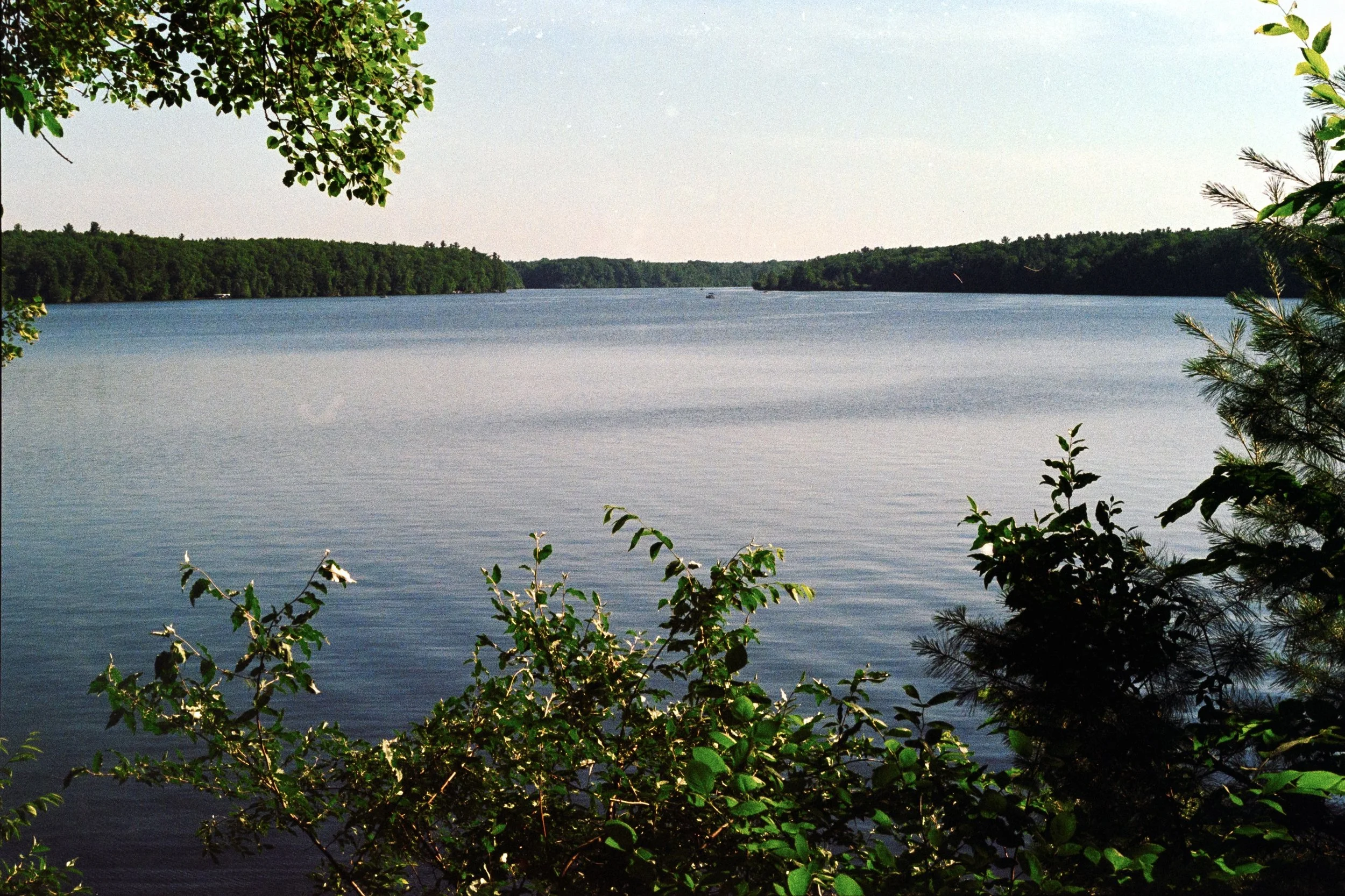 8006_260809006.jpg