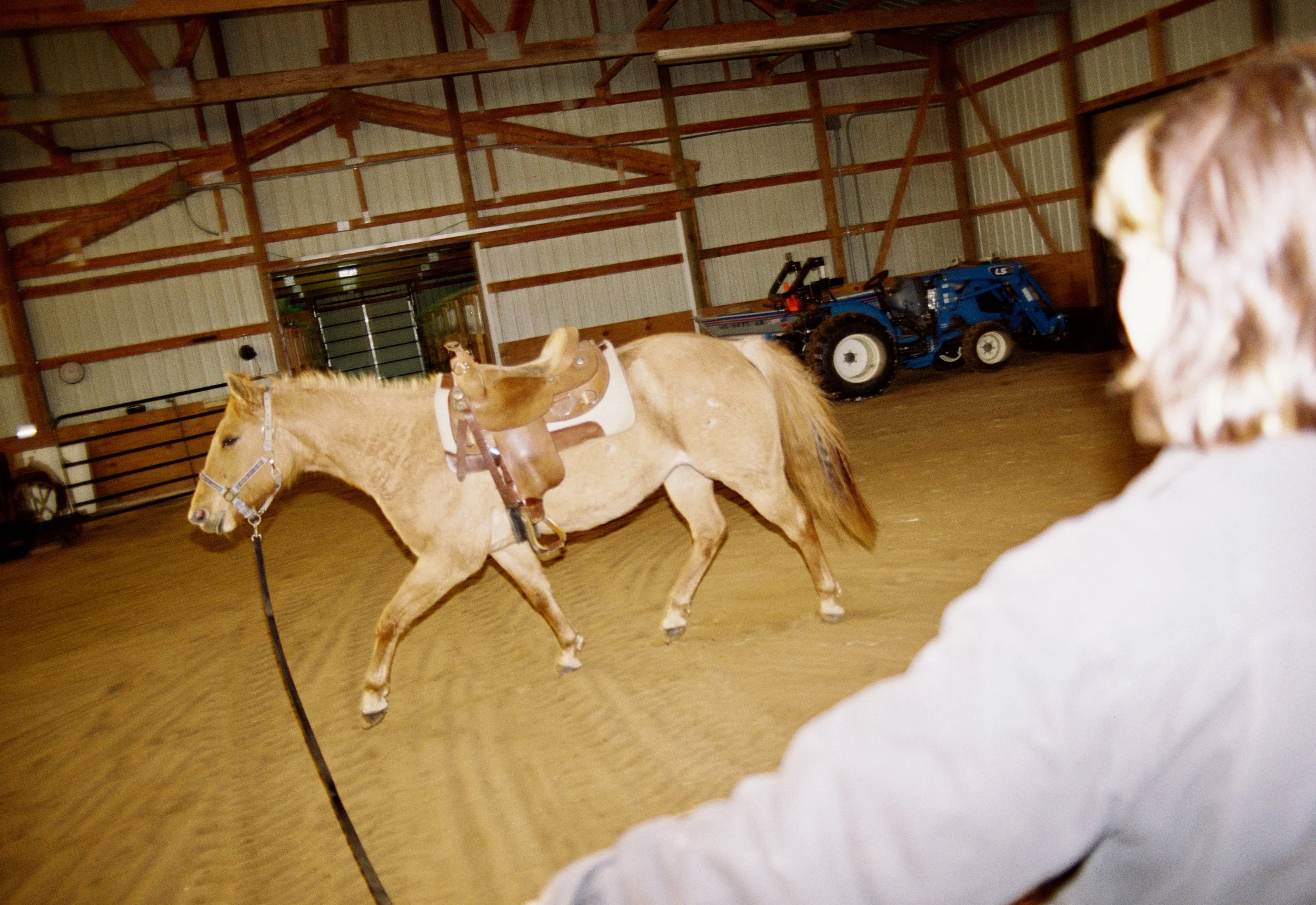May Willison leads her horse, Dottie, around a farm in rural Octono County, Wisconsin on December 20, 2025.