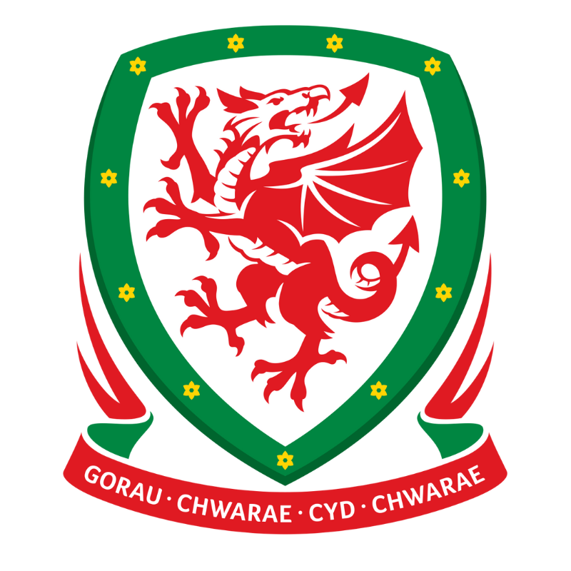 Welsh dragon emblem on a green shield with yellow stars, red ribbon, and Welsh text 'GORAU CHWARAE CYD CHWARAE'