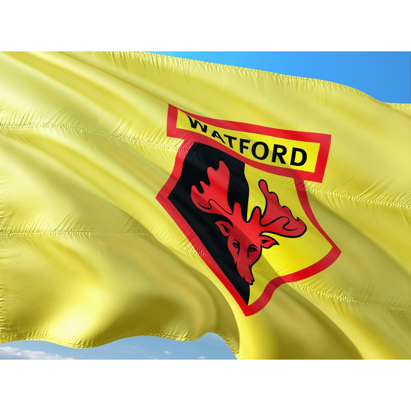 Yellow flag with Watford Football Club logo, featuring a red deer with antlers on a black and yellow background, waving in the sky.