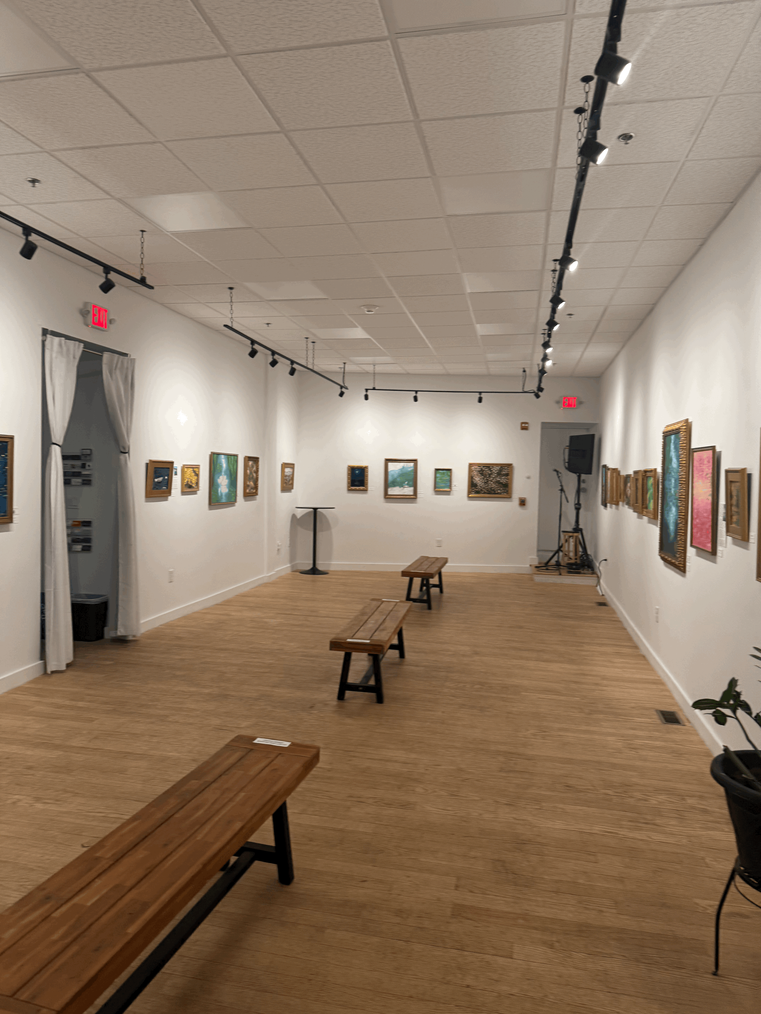 Art of Aquarius: Looking Back at My First Solo Exhibition 