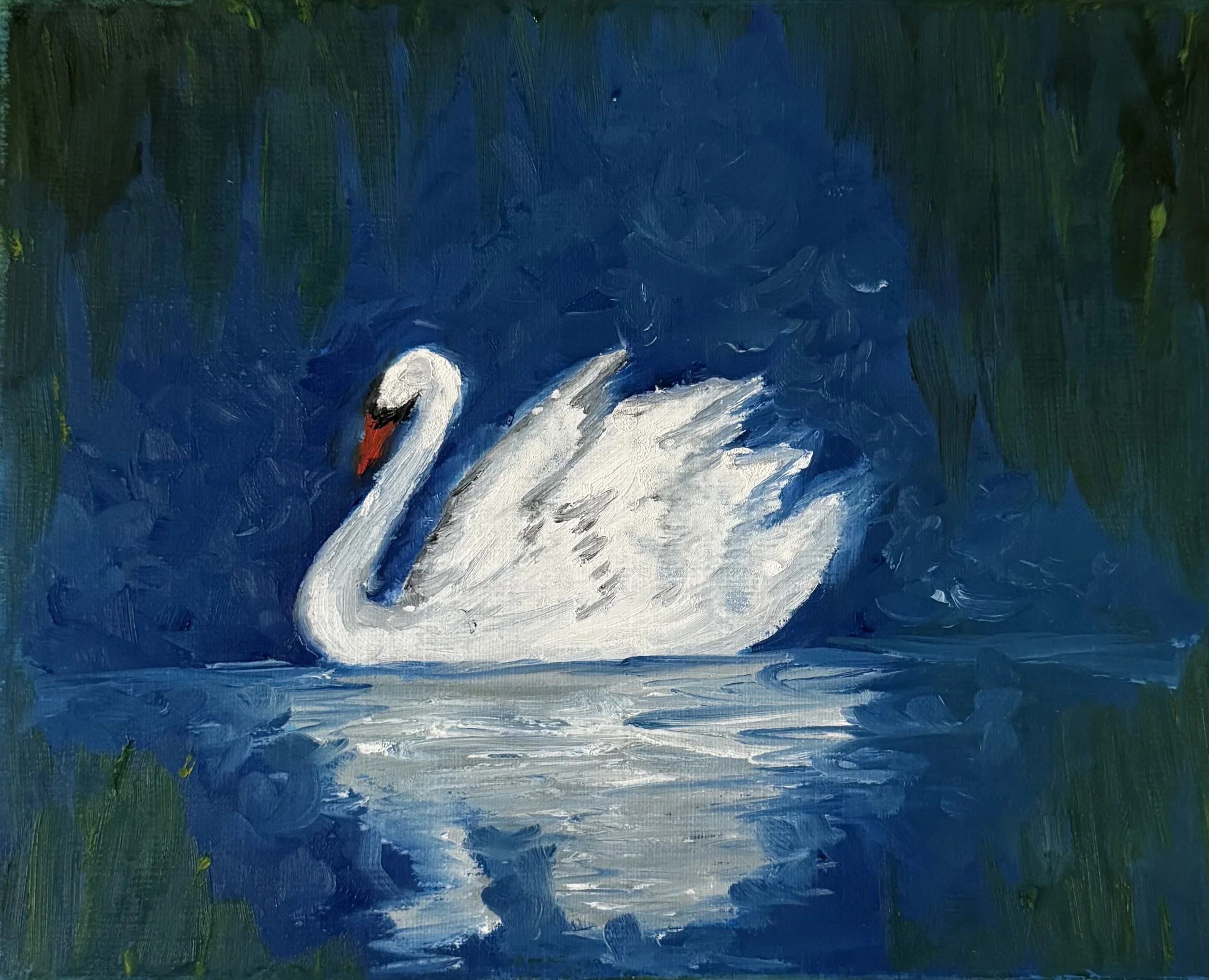 Midnight Swan