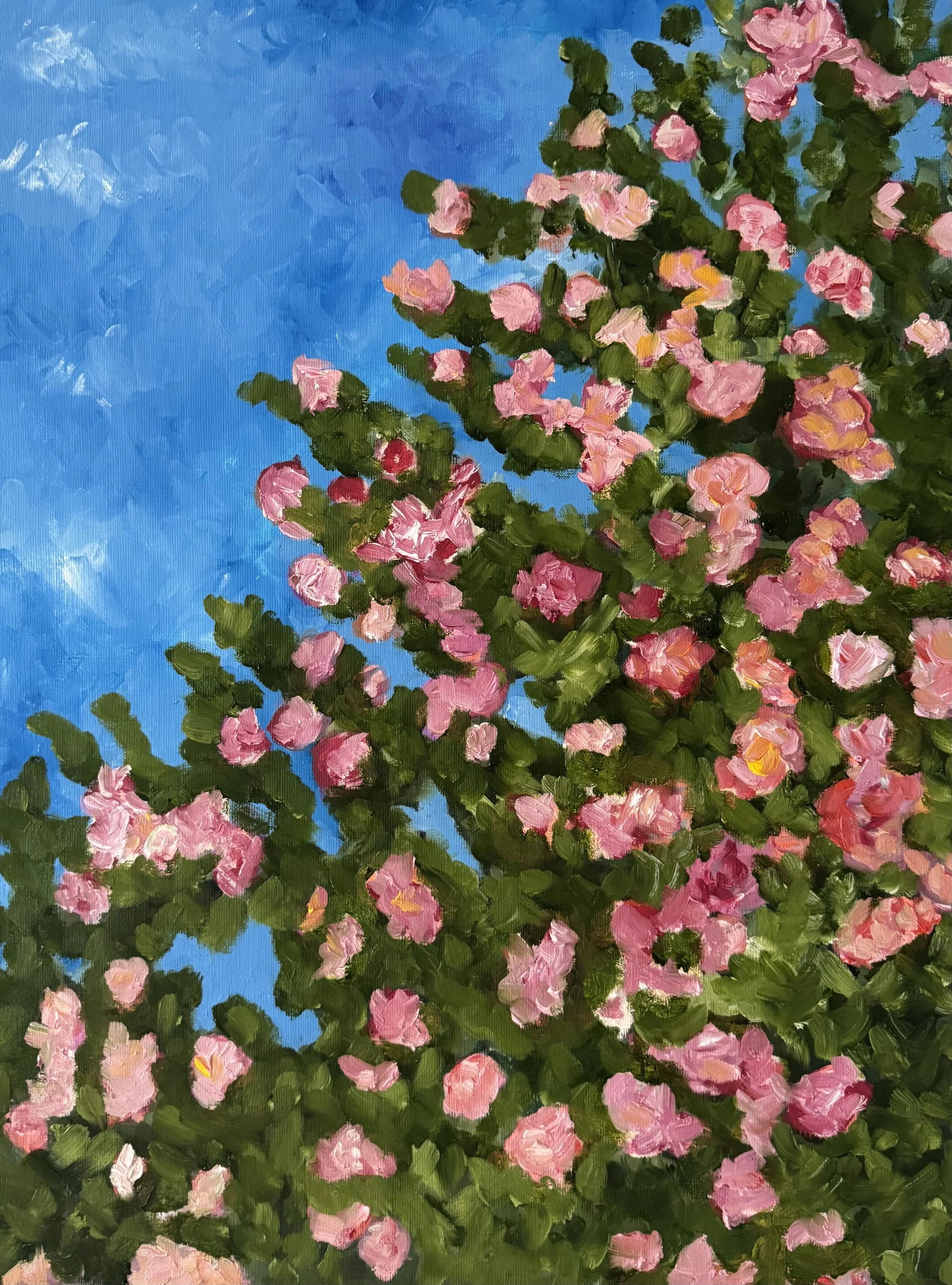 Everything that Reaches