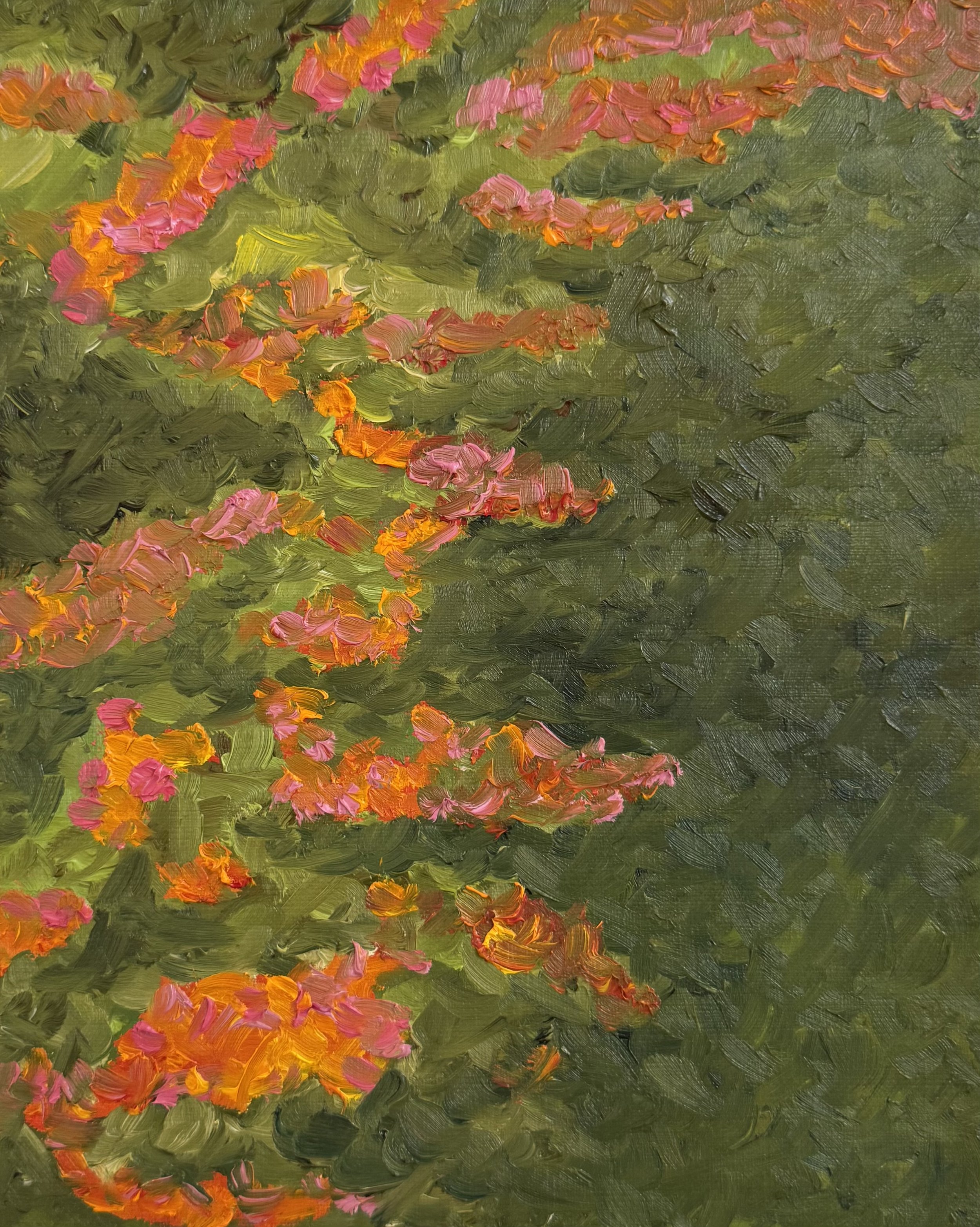 Wild Embers