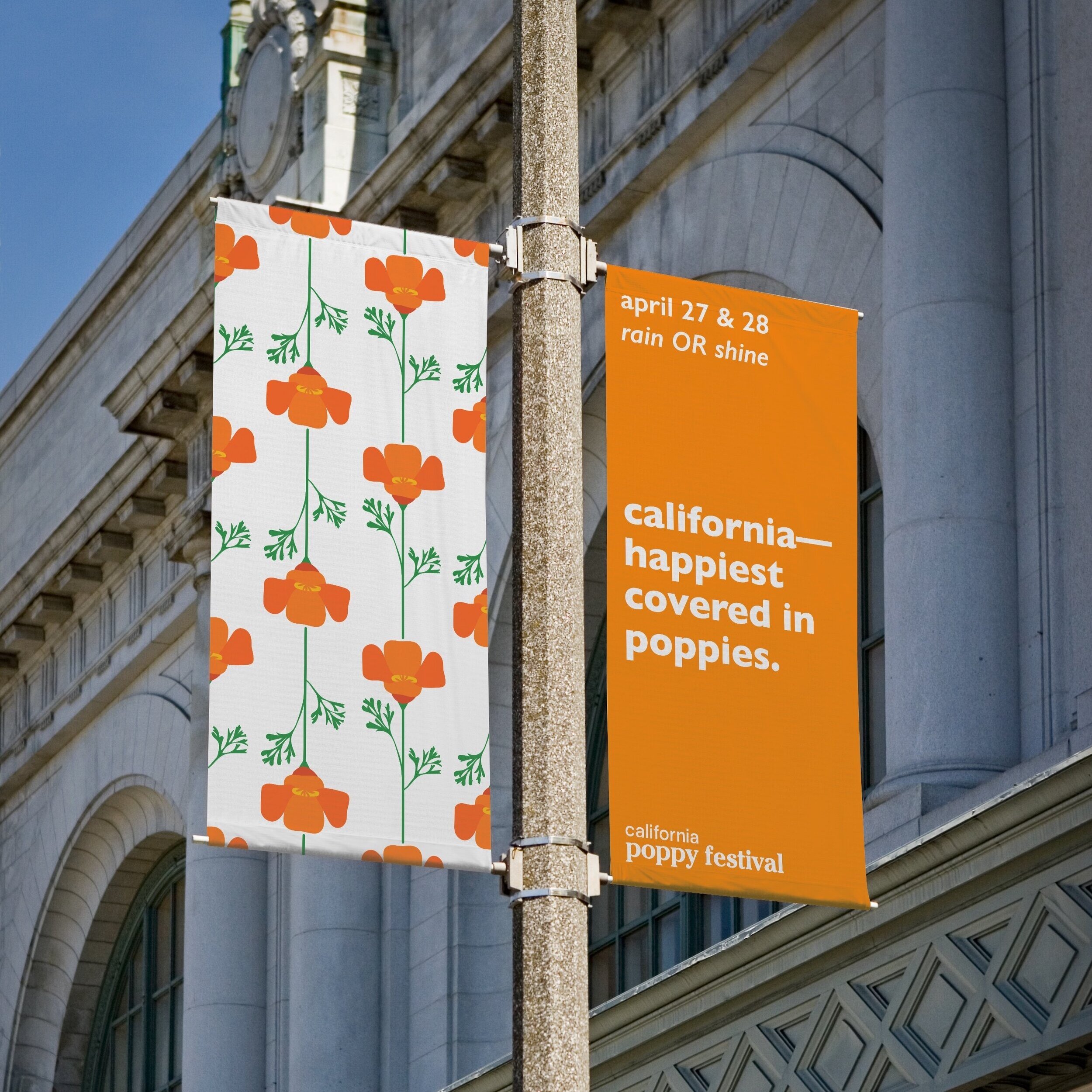 Personal Project // The California Poppy Festival
