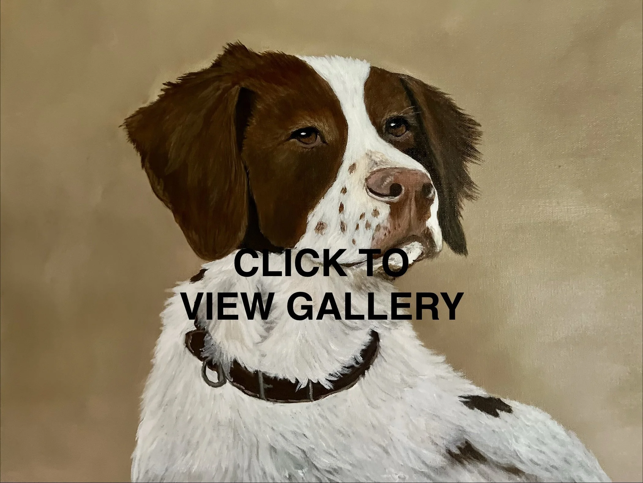 Sporting Dogs