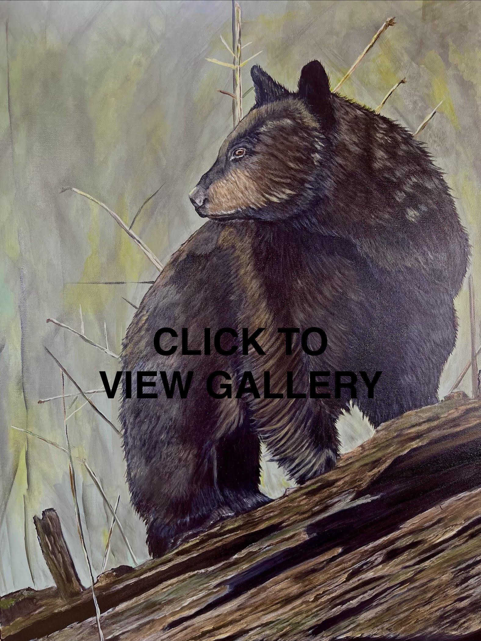 Wildlife