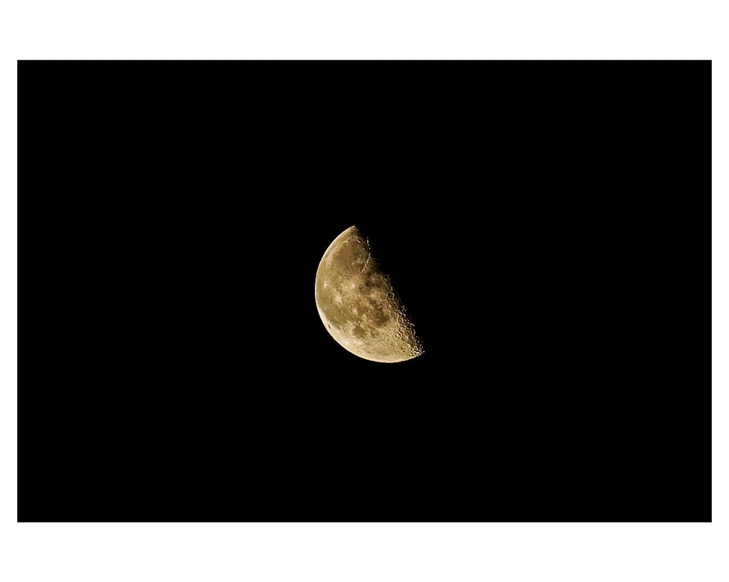 &ldquo;De mewin&rdquo; - CMcG

#spacephotography #photographer #photo #photography #wexford #irishphotographer #irishphotography
