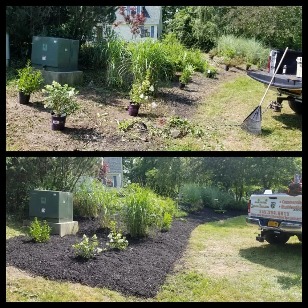 before and after flower bed with mulch