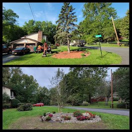 before and after