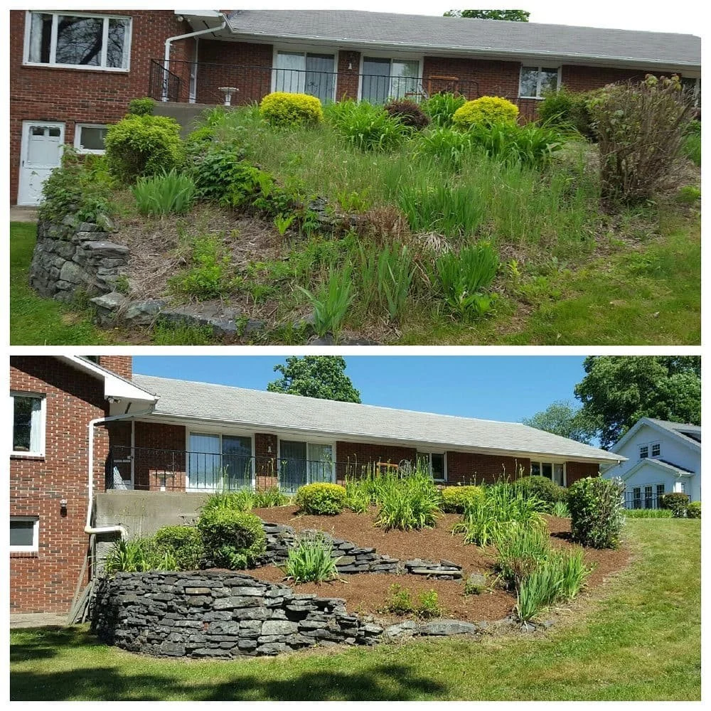 before and after