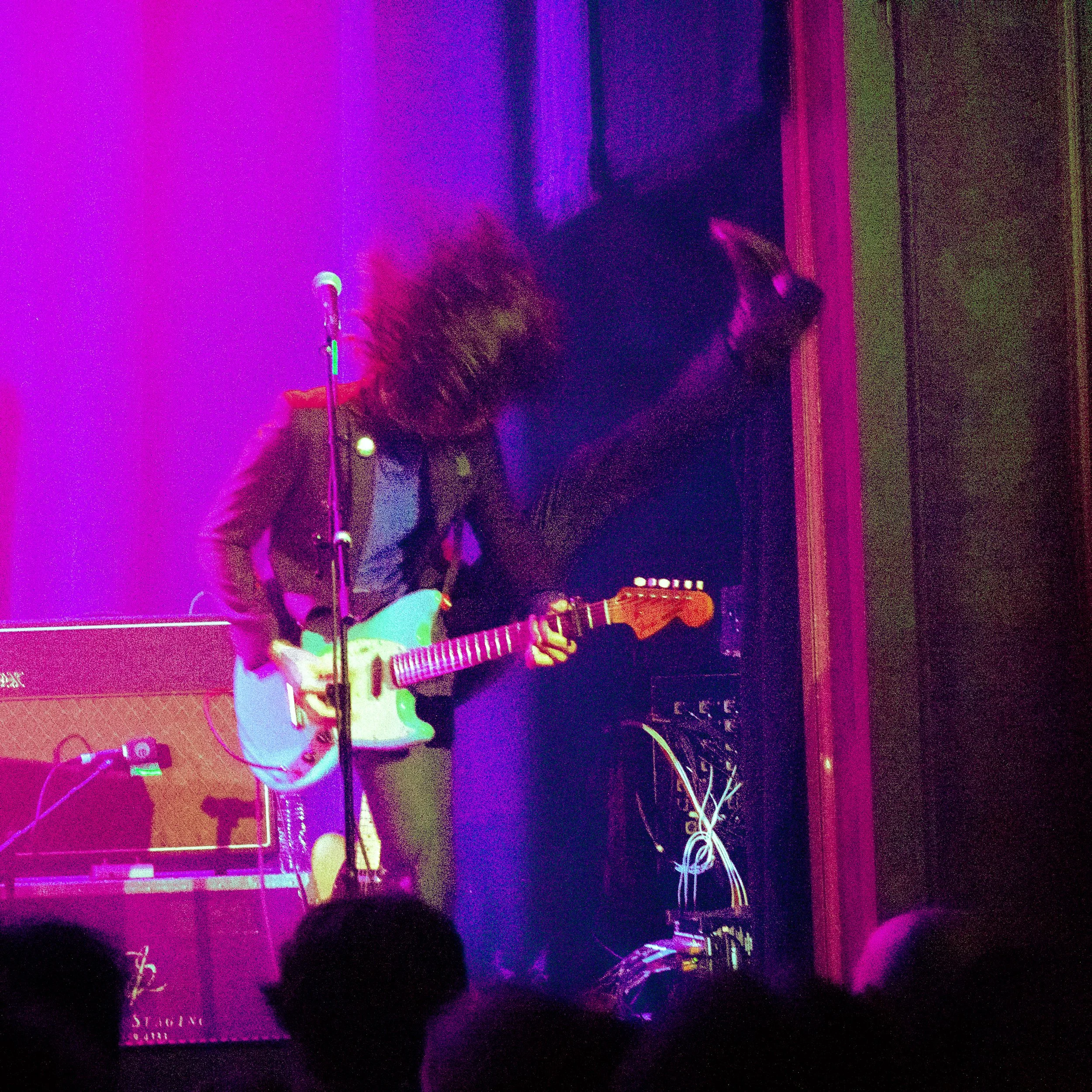 lemontwigs-2.jpg