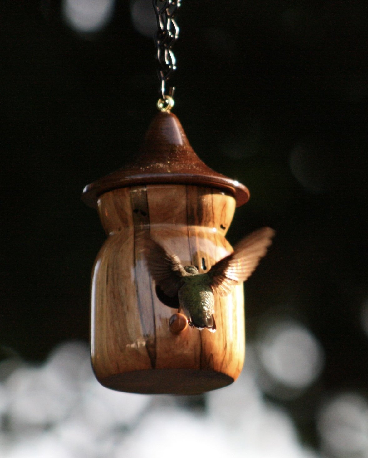 Hummingbird entering wooden birdhouse with metal chain.