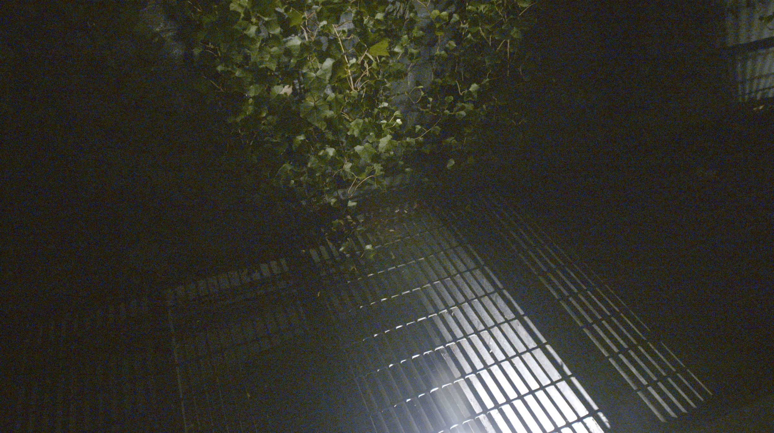 Screen Shot 2024-12-02 at 1.19.56 AM 2.jpg