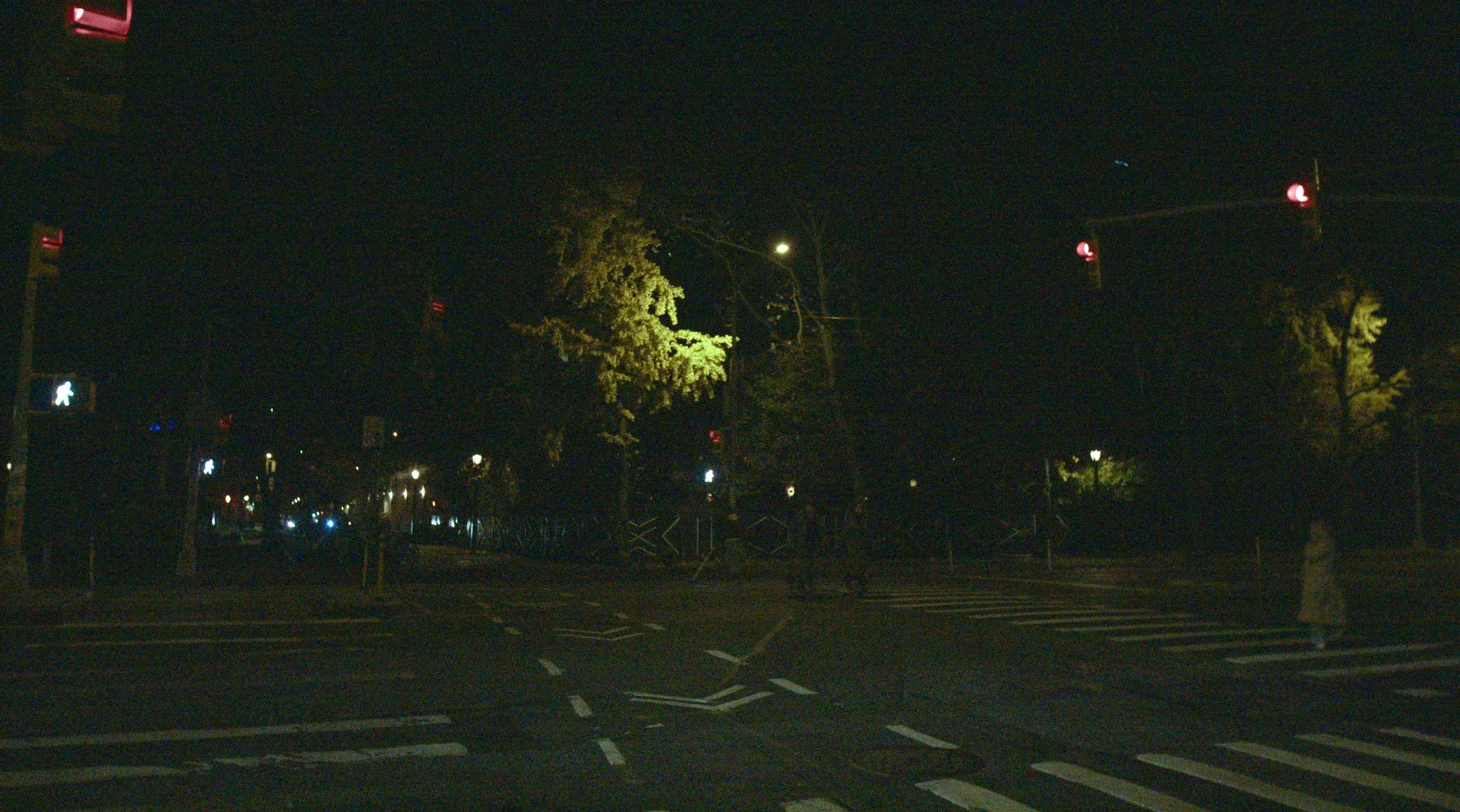 Screen Shot 2024-12-02 at 1.27.10 AM.jpg