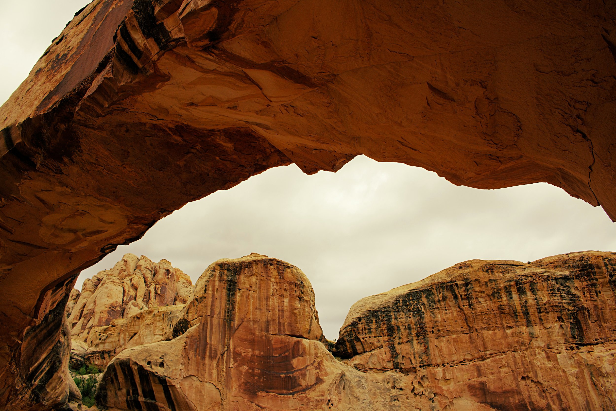 Planning a Fall Wedding in Utah: Why September and October Are the Best Months for a National Park Ceremony