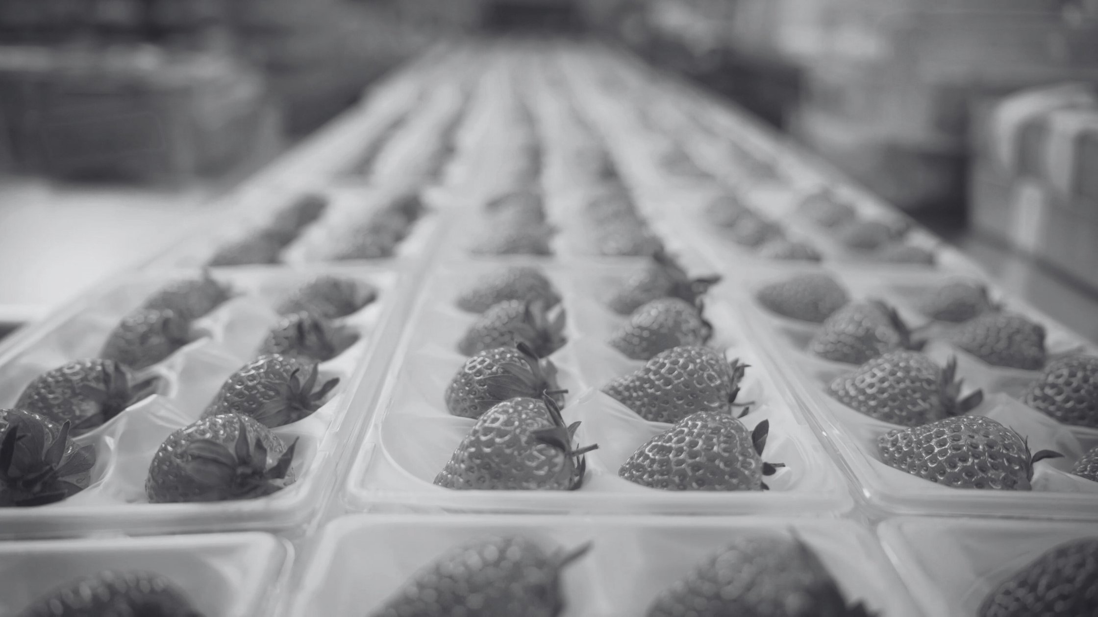 What Return Does a Growing Food and Beverage Brand Get from PR and Communications?