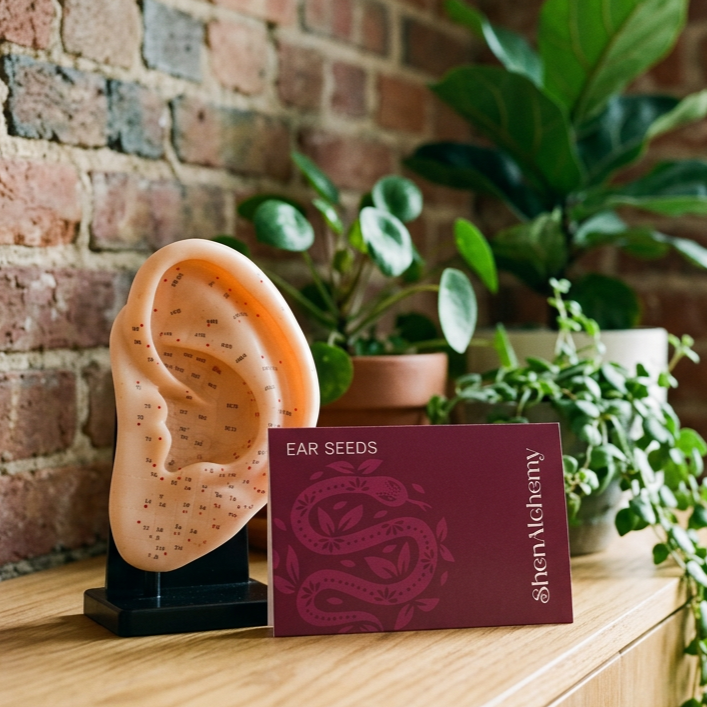 Ear Seeds Kit - NEW!