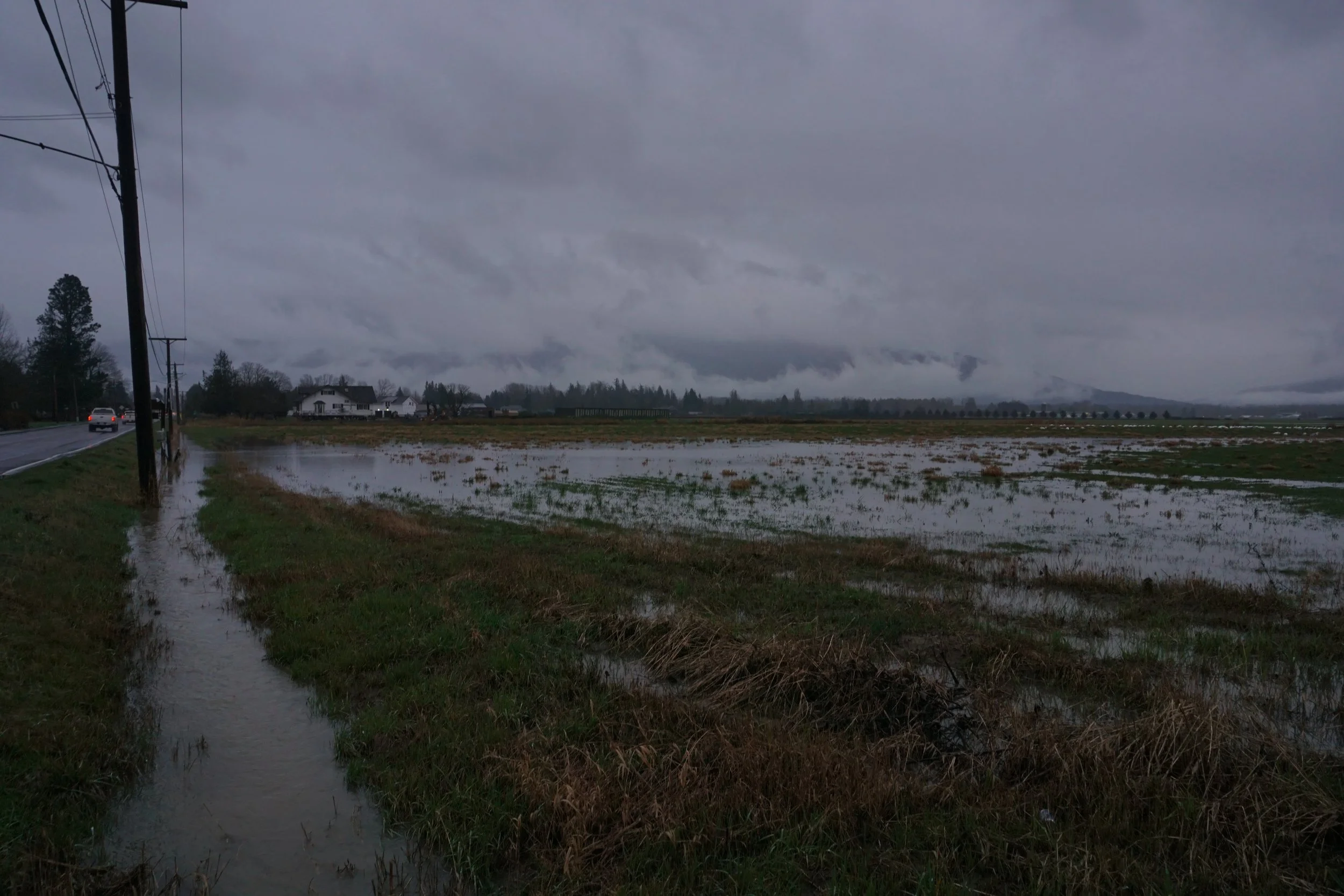  Lingering flood and rainwater from the Nooksack River fills an open field in Nooksack, Wash., on Feb. 2, 2026. The hydrology of the Nooksack River is one of the most complex hydrologies in the state, with an active system and glacial till rerouting 