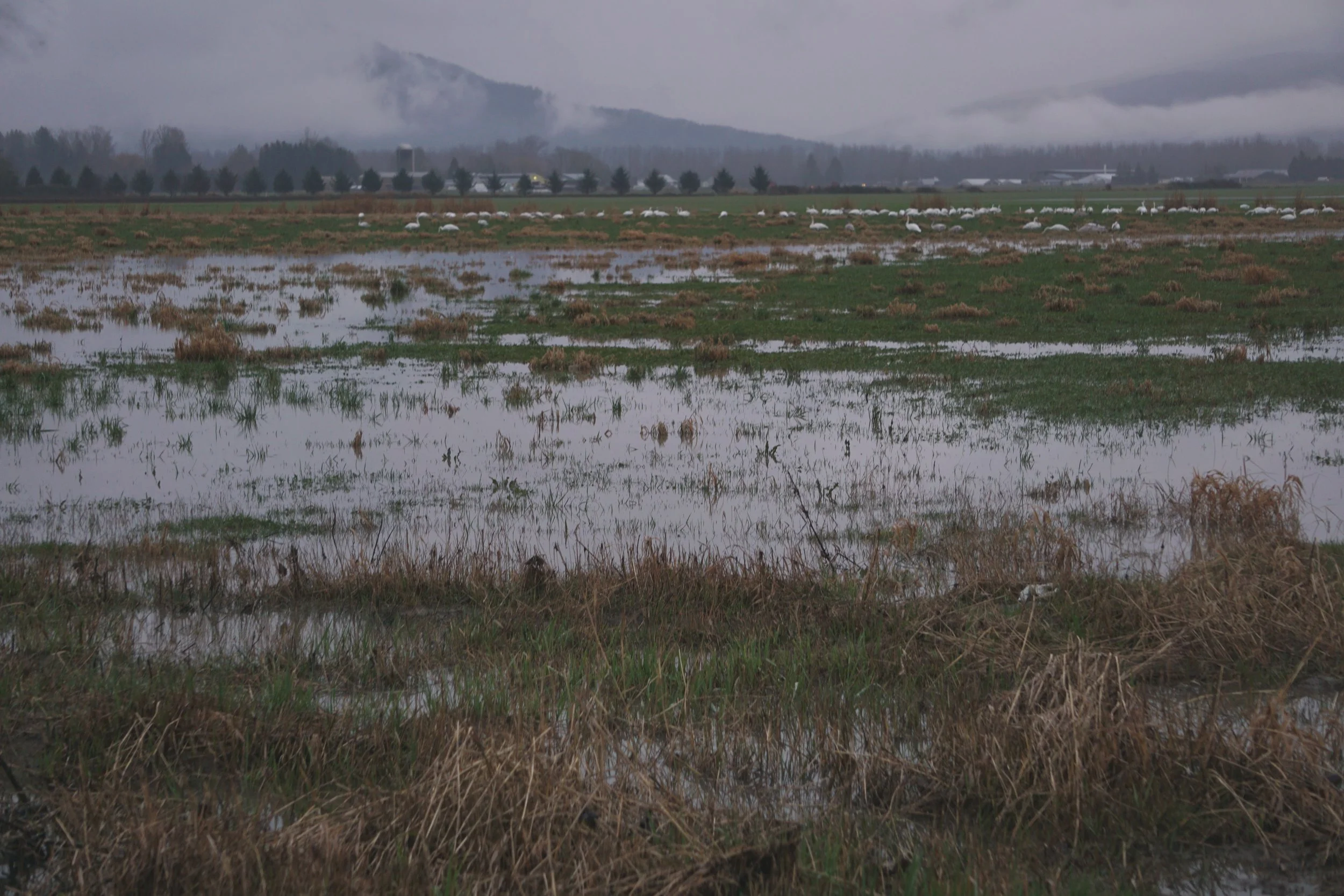 As the Floods Recede, Community Comes Together