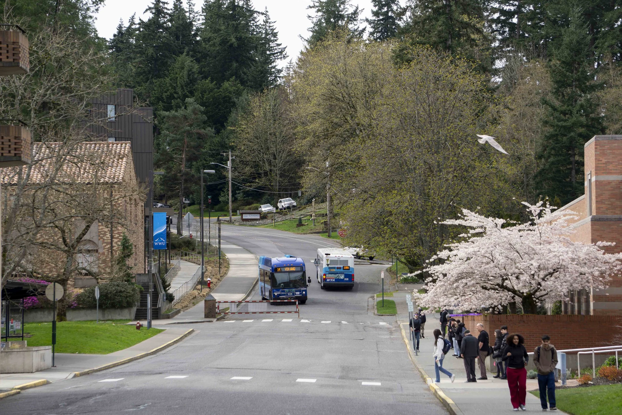 campusphotos_033126_6.jpg