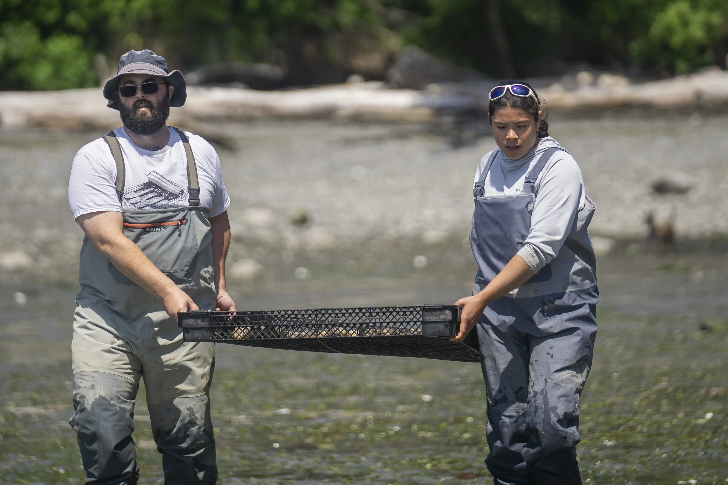 shannon_point_seeding_052026_wildcat_cove (5).jpg