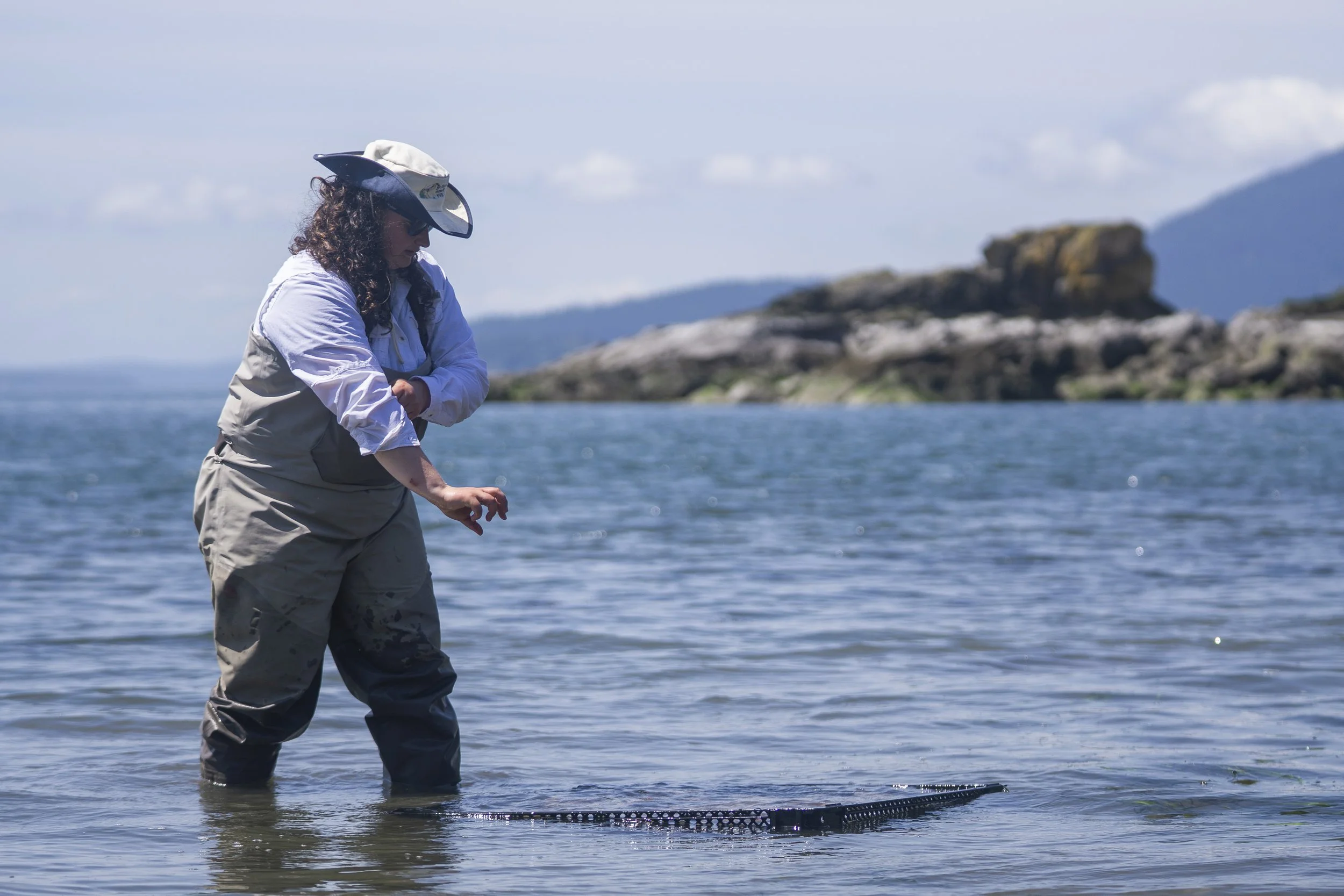 shannon_point_seeding_052026_wildcat_cove (2).jpg