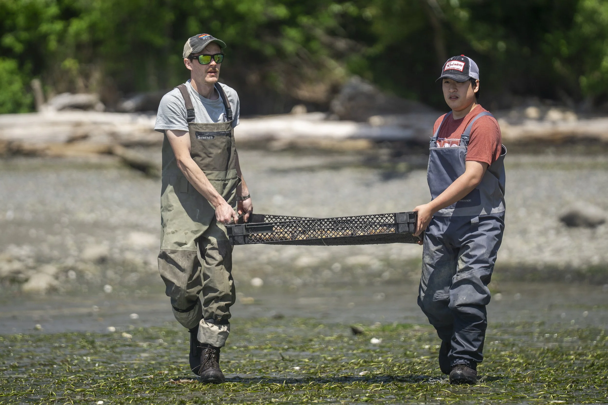 shannon_point_seeding_052026_wildcat_cove (4).jpg