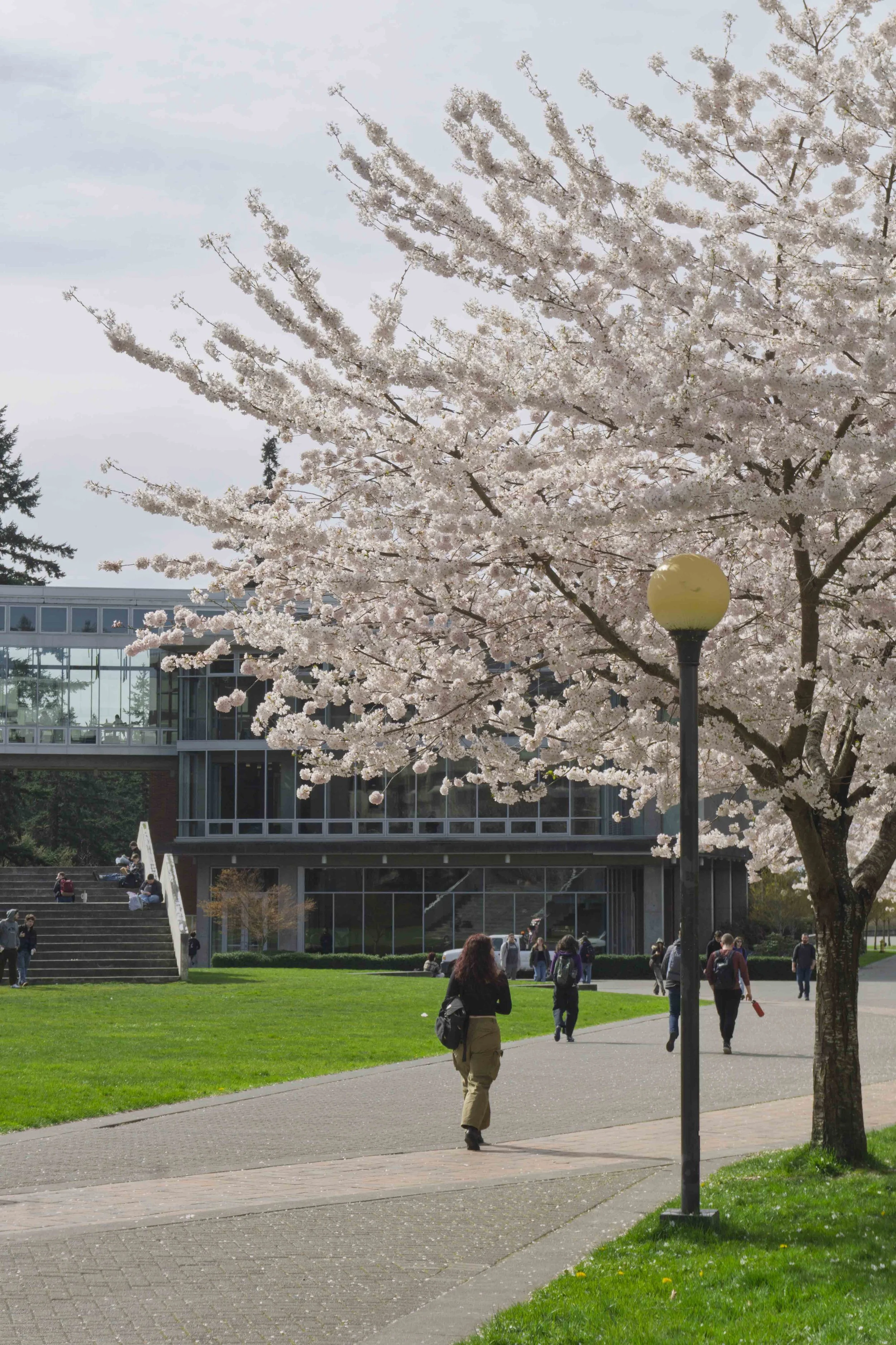 campusphotos_033126_4.jpg