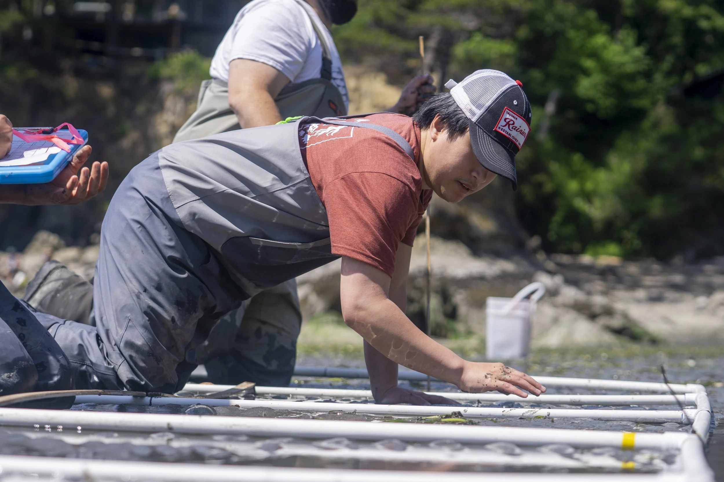 shannon_point_seeding_052026_wildcat_cove (25).jpg
