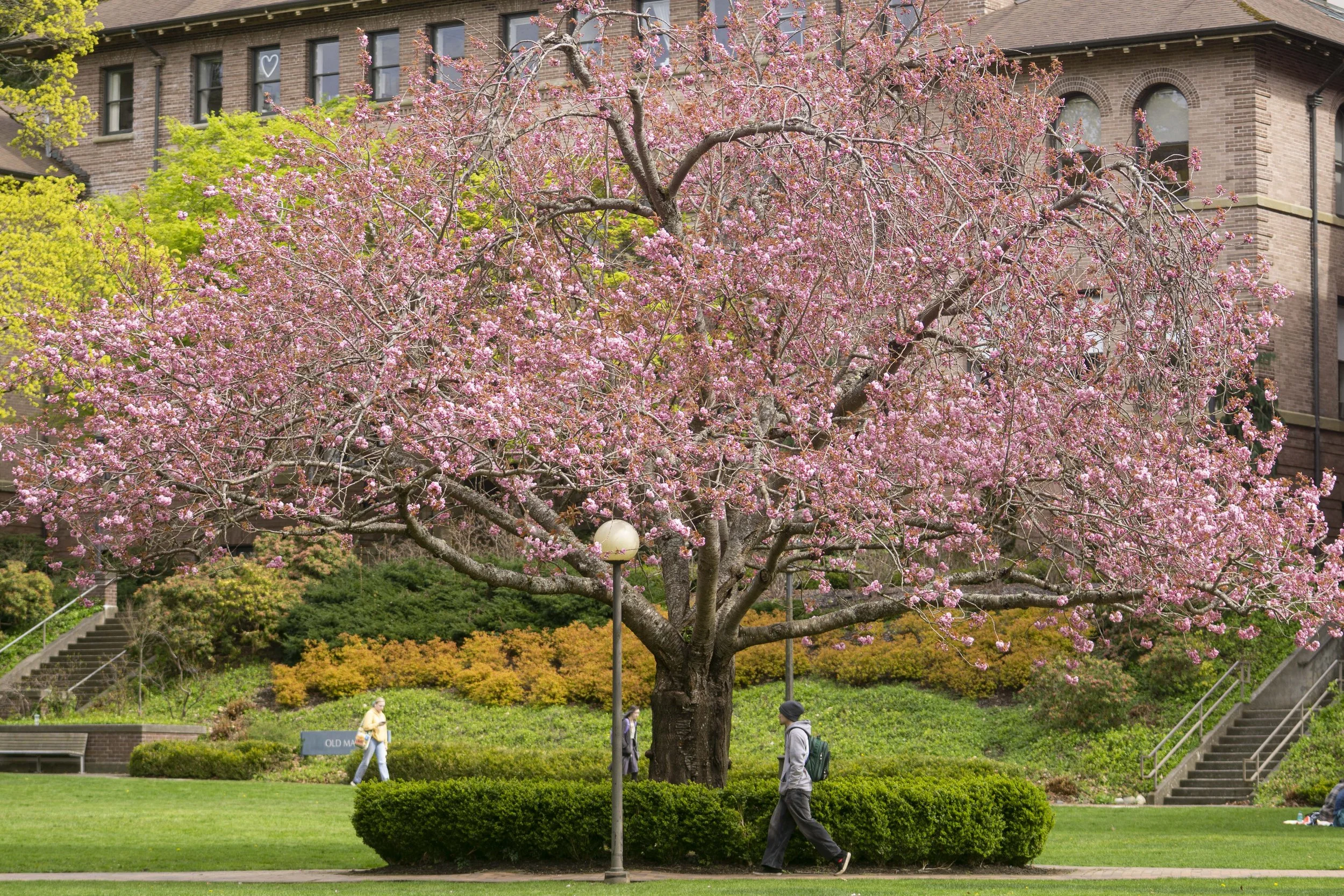 campusphotos_041526_01756.jpg