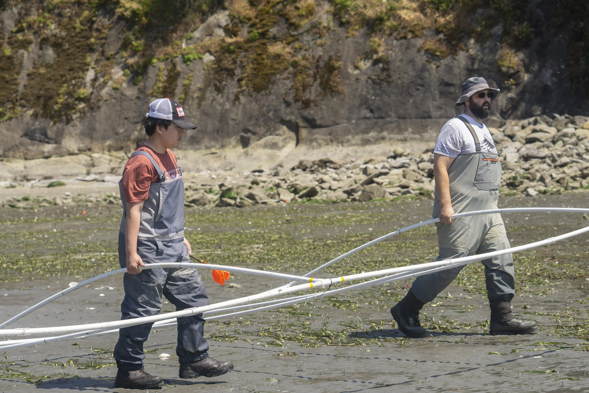 shannon_point_seeding_052026_wildcat_cove (17).jpg