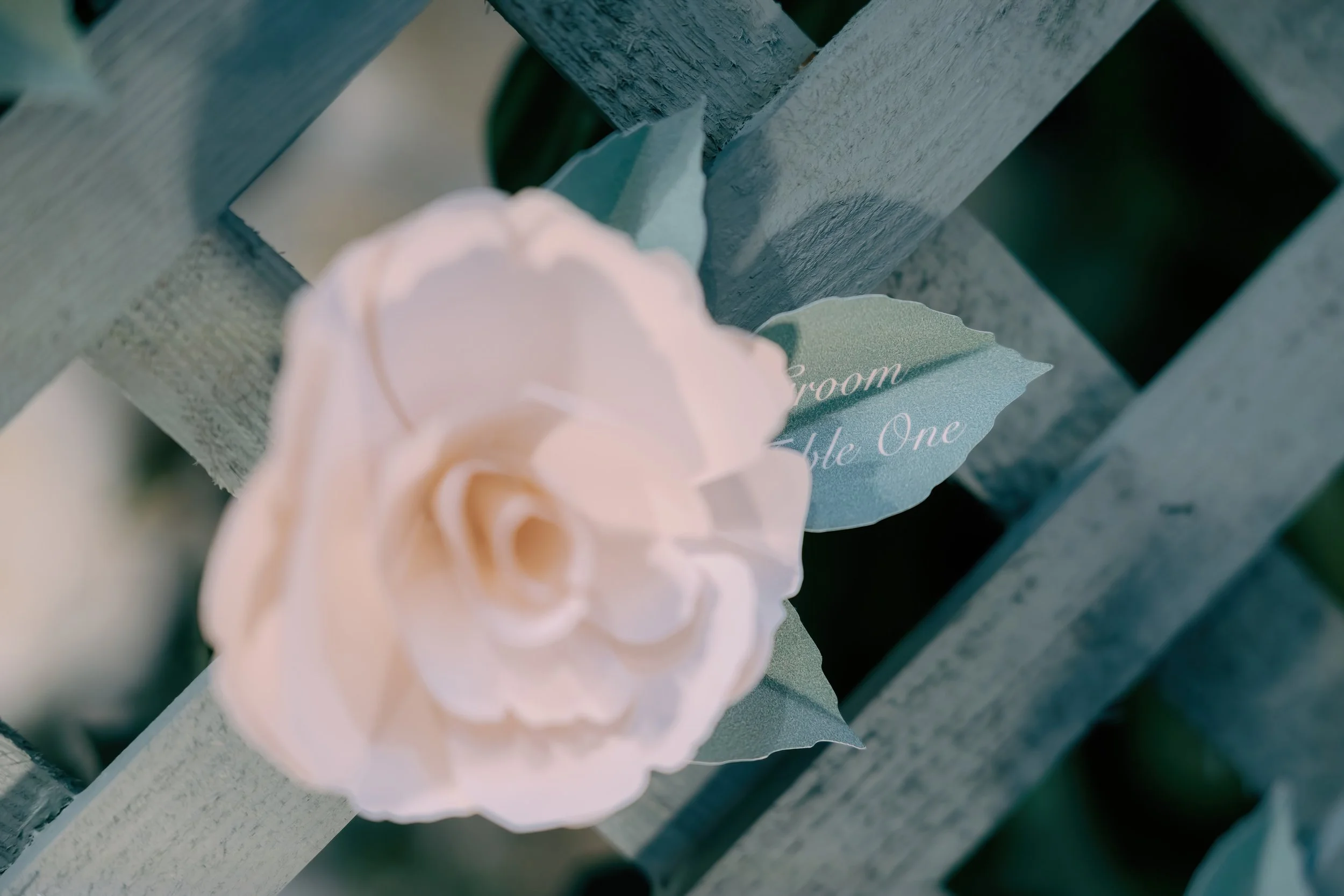 Lucca-Studios-Wedding-Stationery-Clevedon-Hall-Bristol-Camilla-Joy-371 -.jpg