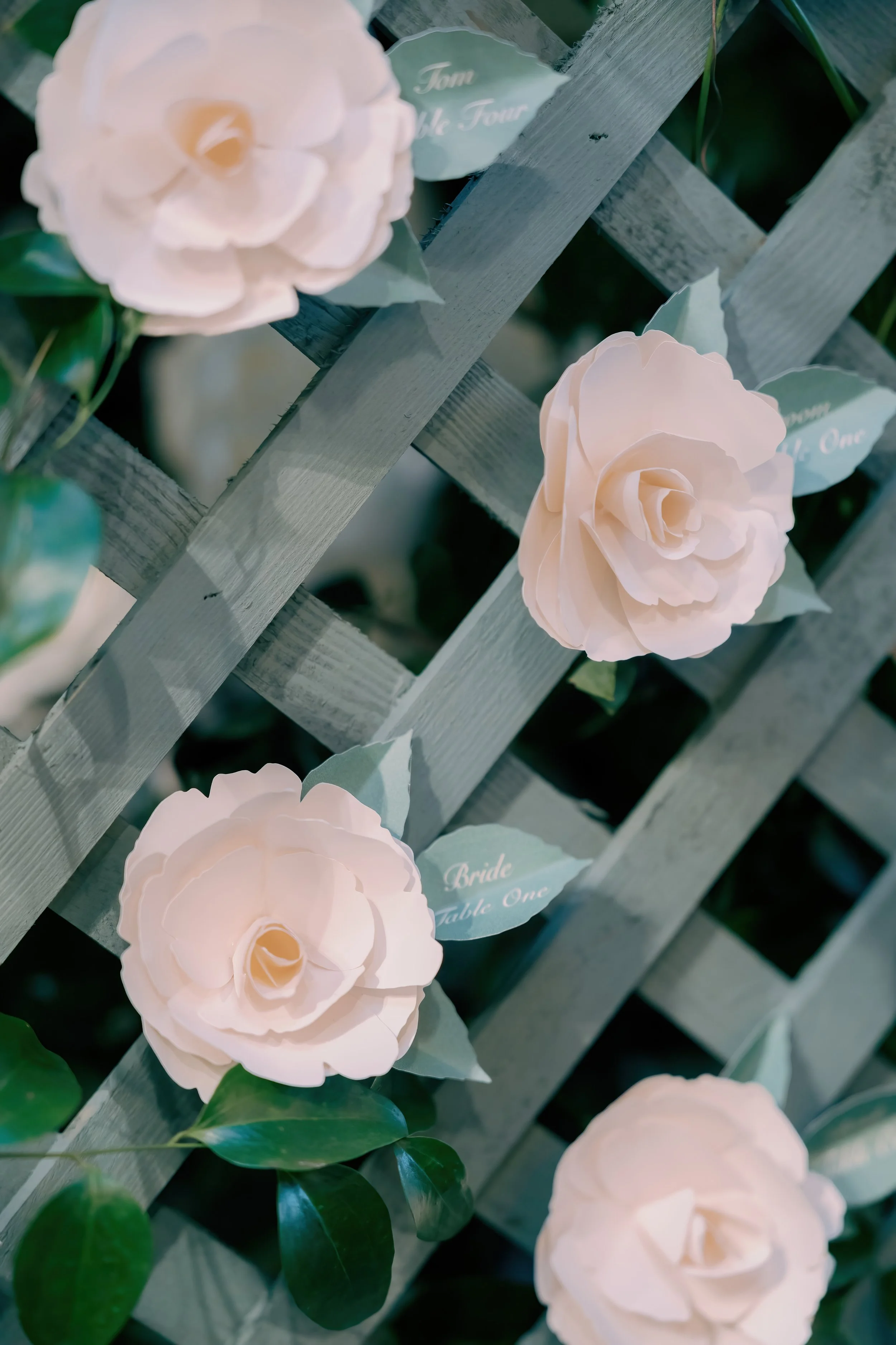 Lucca-Studios-Wedding-Stationery-Clevedon-Hall-Bristol-Camilla-Joy-377 - .jpg