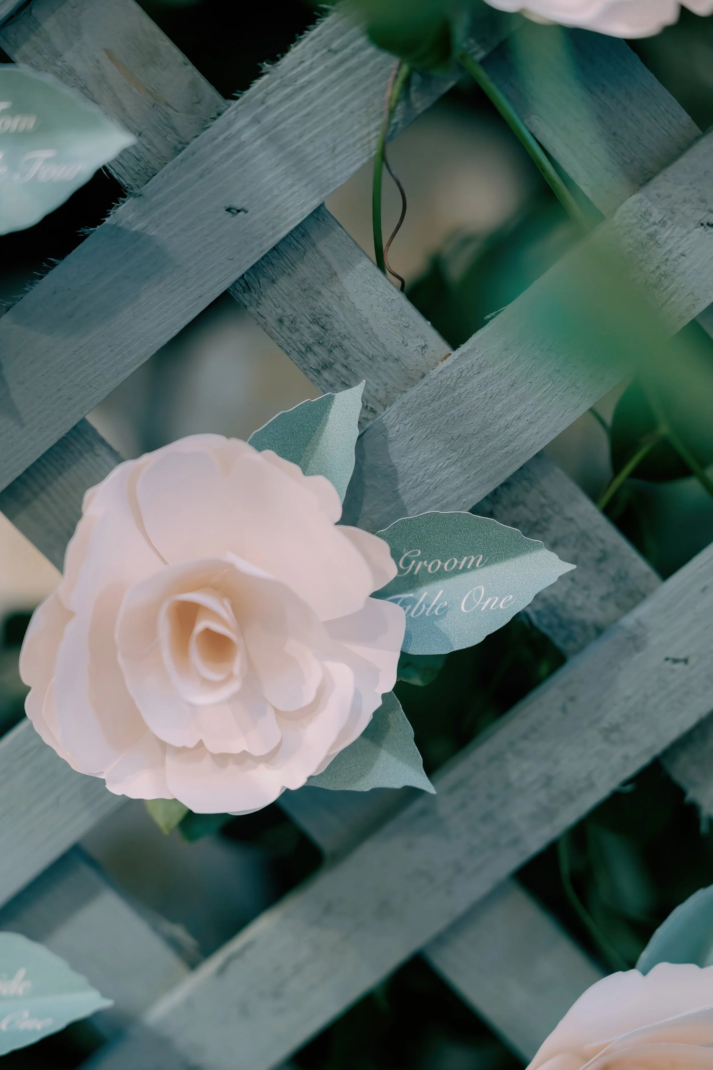 Lucca-Studios-Wedding-Stationery-Clevedon-Hall-Bristol-Camilla-Joy-380 -.jpg