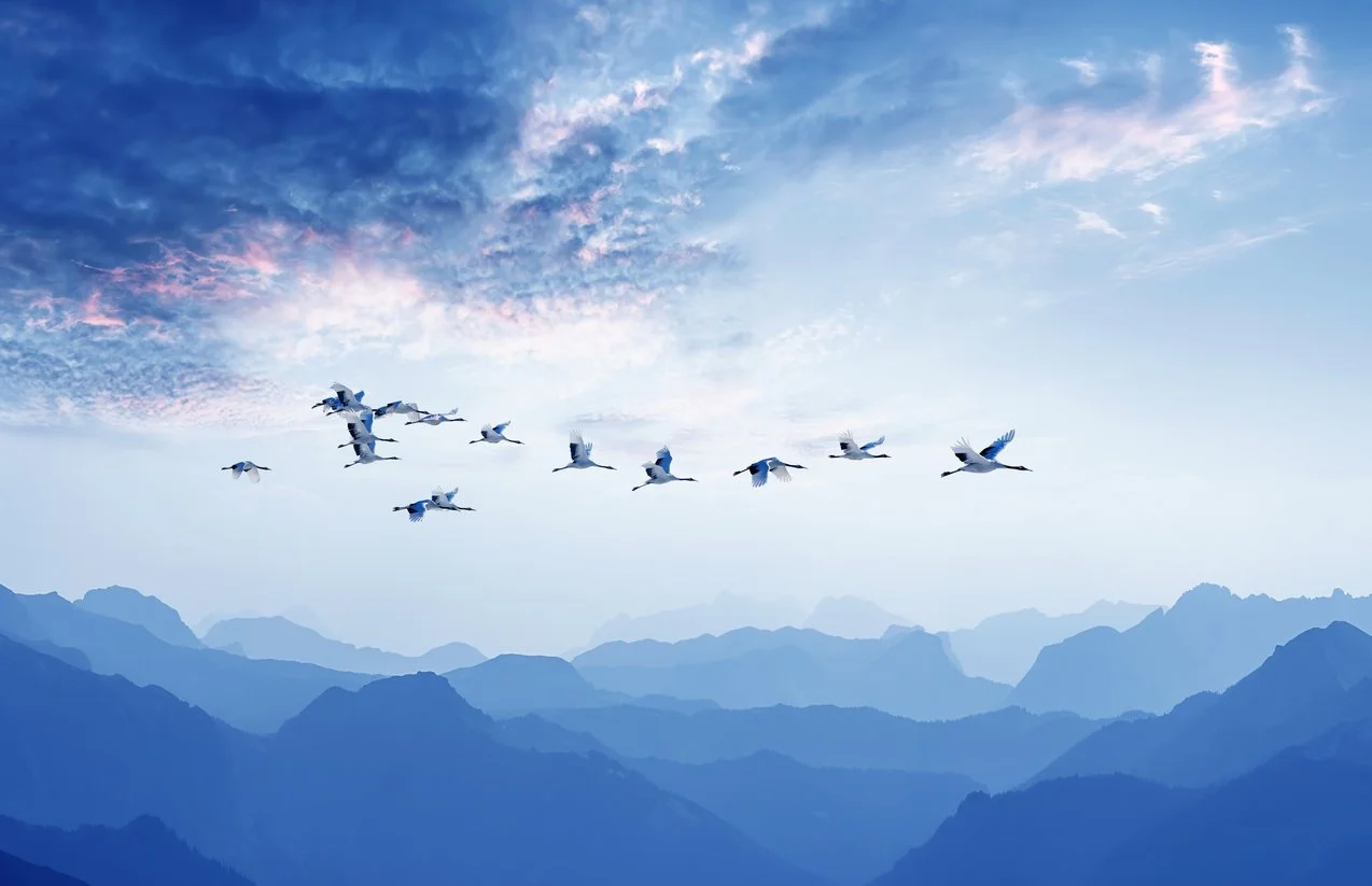 Agile Security Leadership