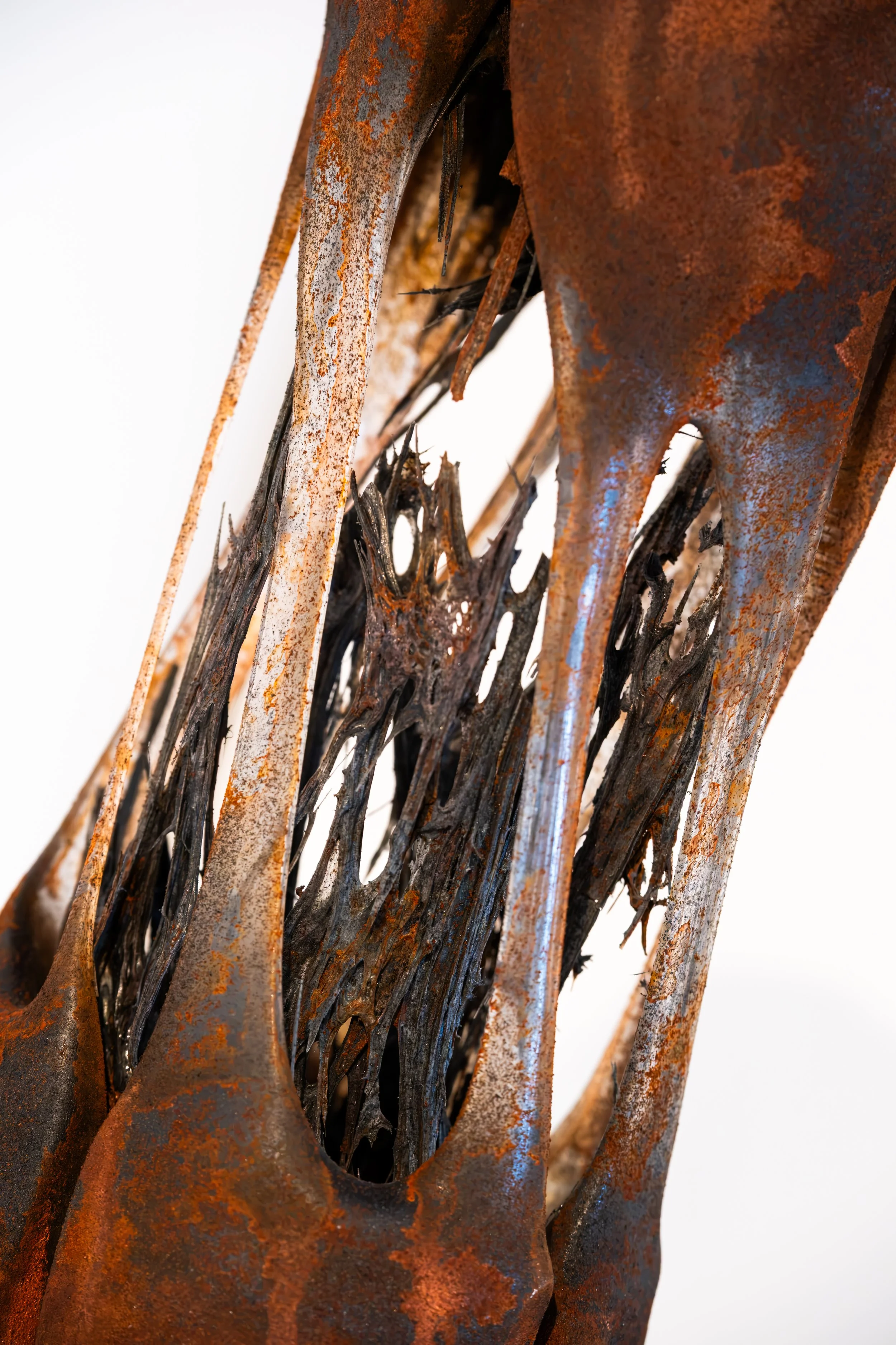 Exhibition artwork photography showing glasswork by a local artist at the National Glass Centre.