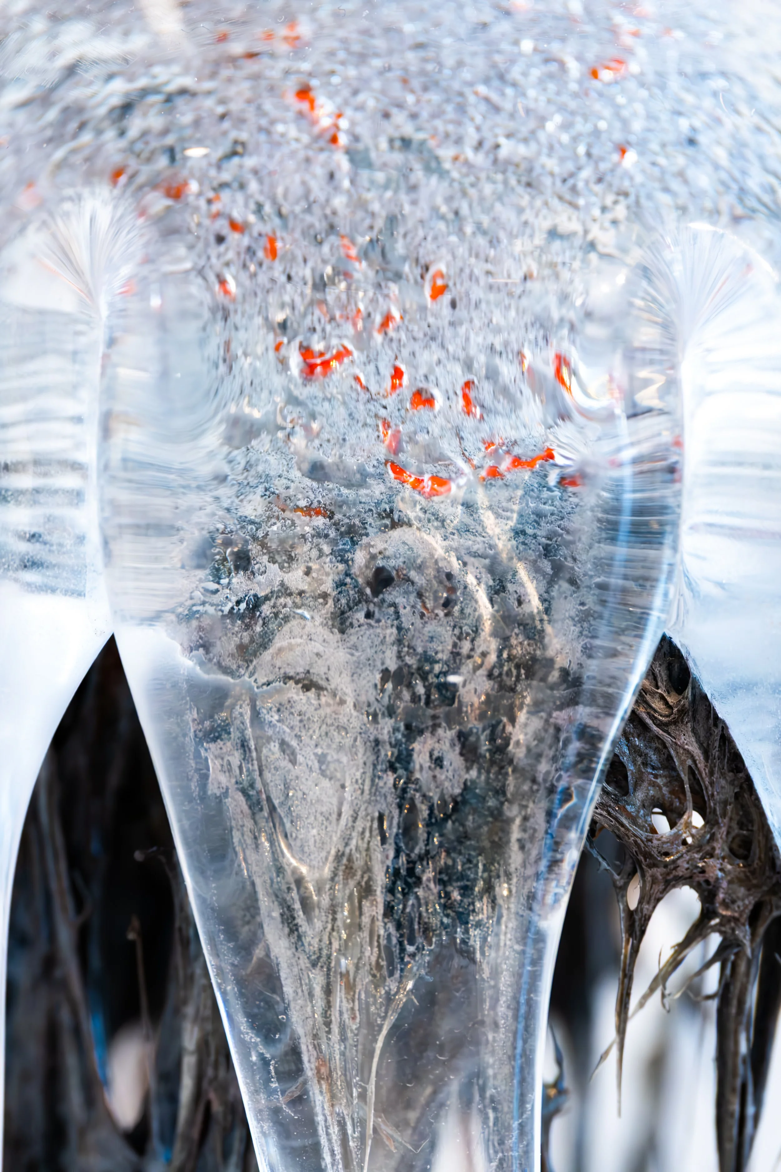 Exhibition photograph of glasswork by Sean,  a North East artist at Sunderland’s National Glass Centre.