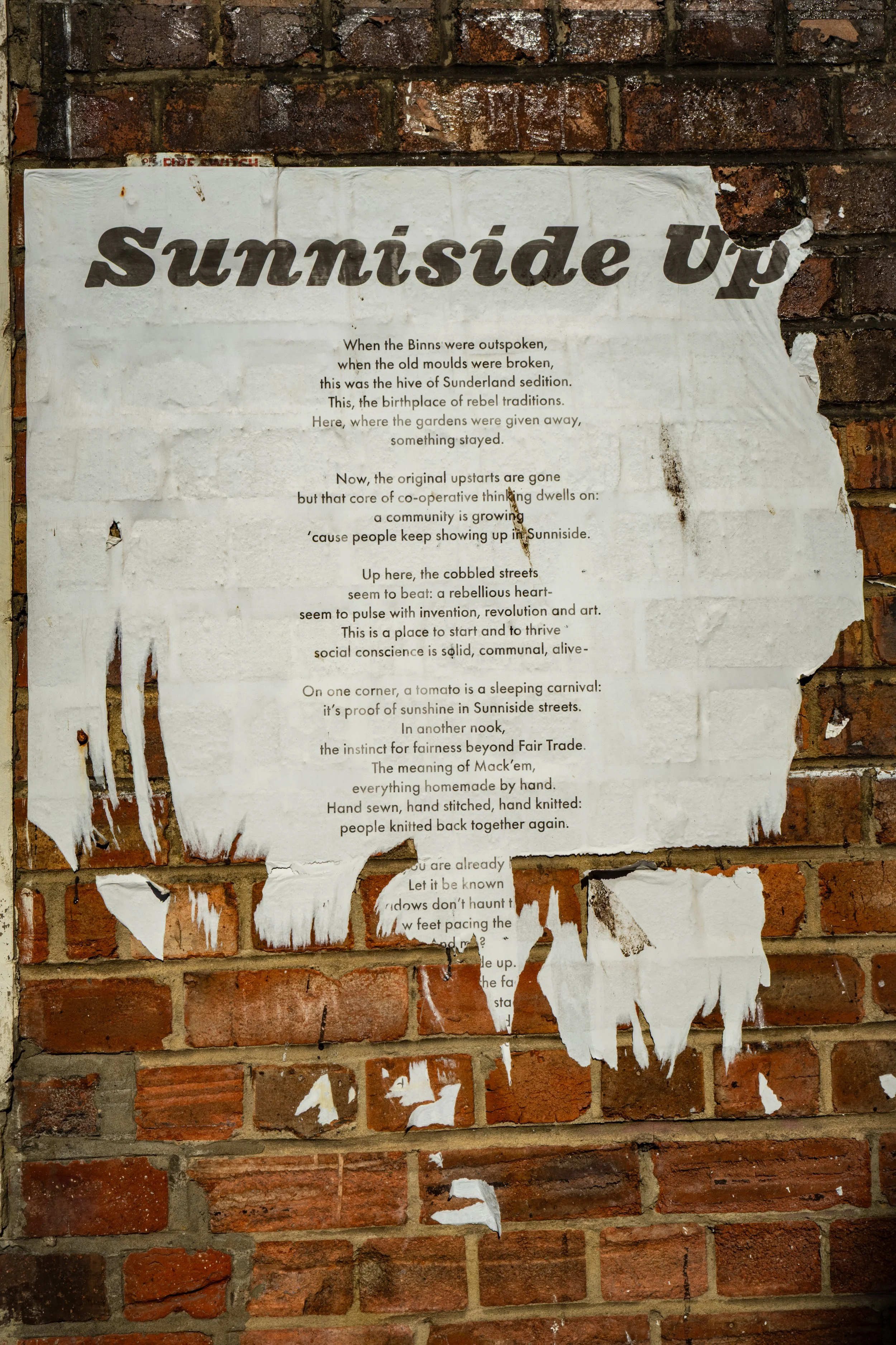 Documenting local street art in Sunderland.