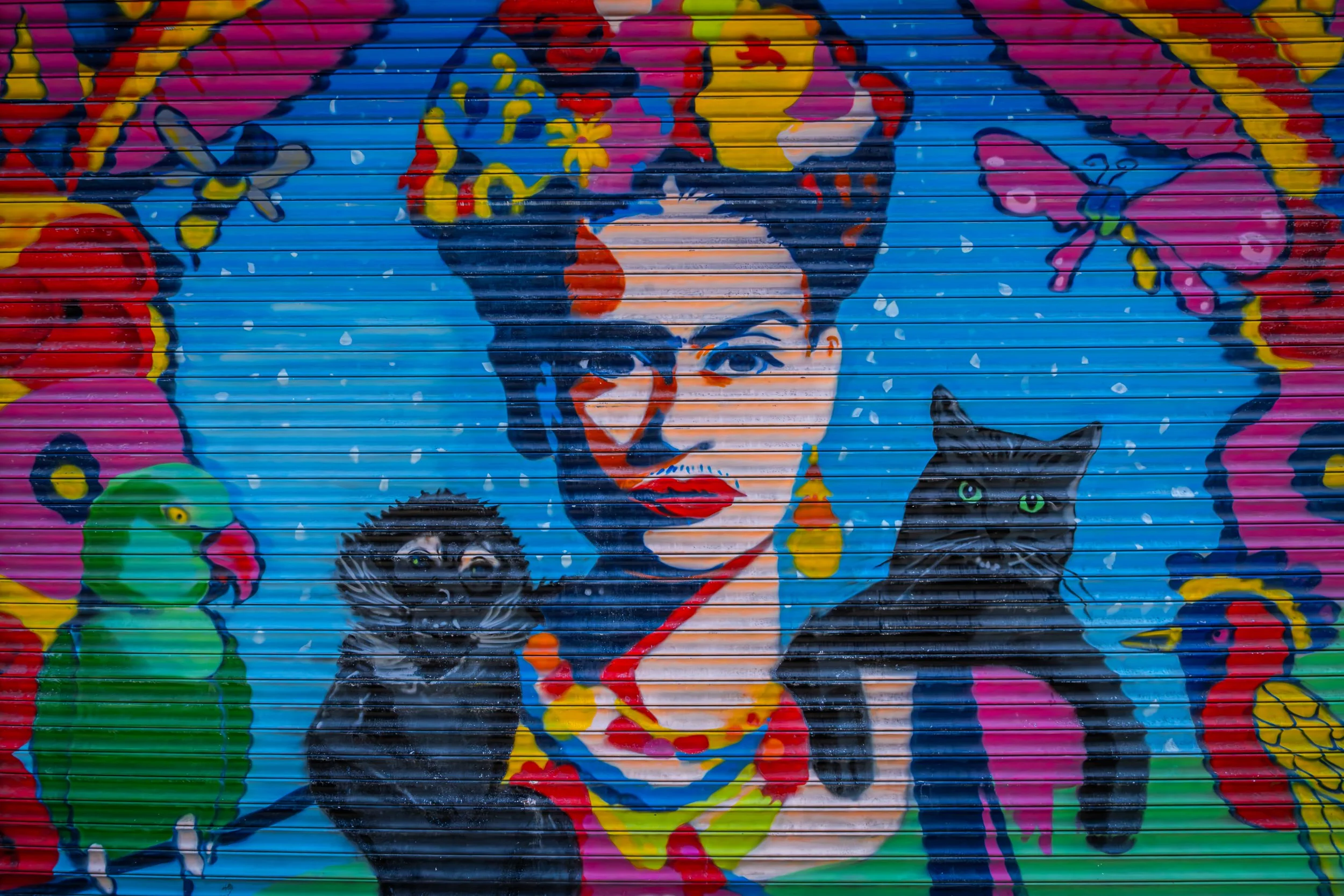 Street art at Sunderland soup kitchen.