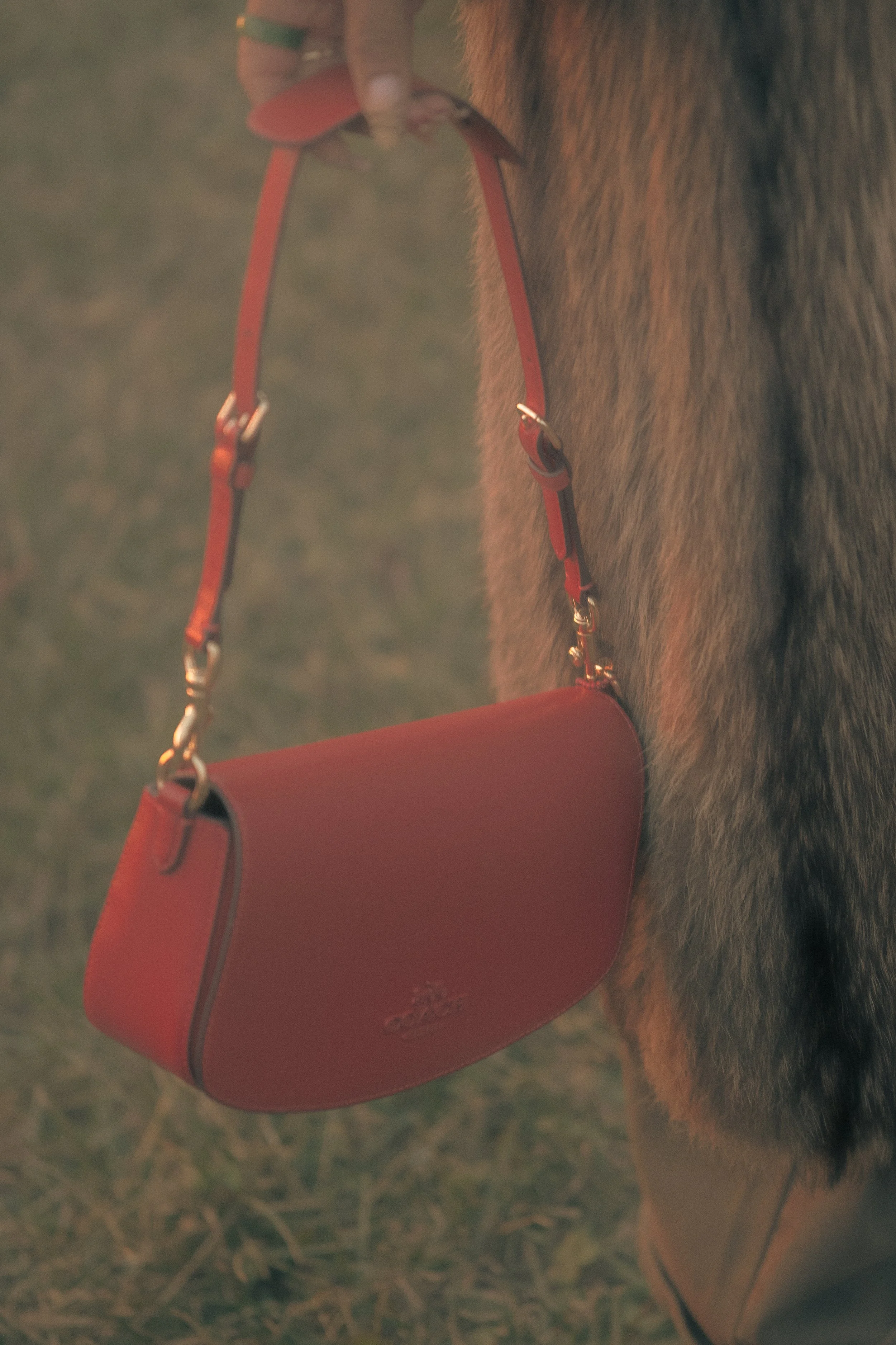 Close-up of a horse wearing a red harness with a matching red saddlebag, standing on grass.