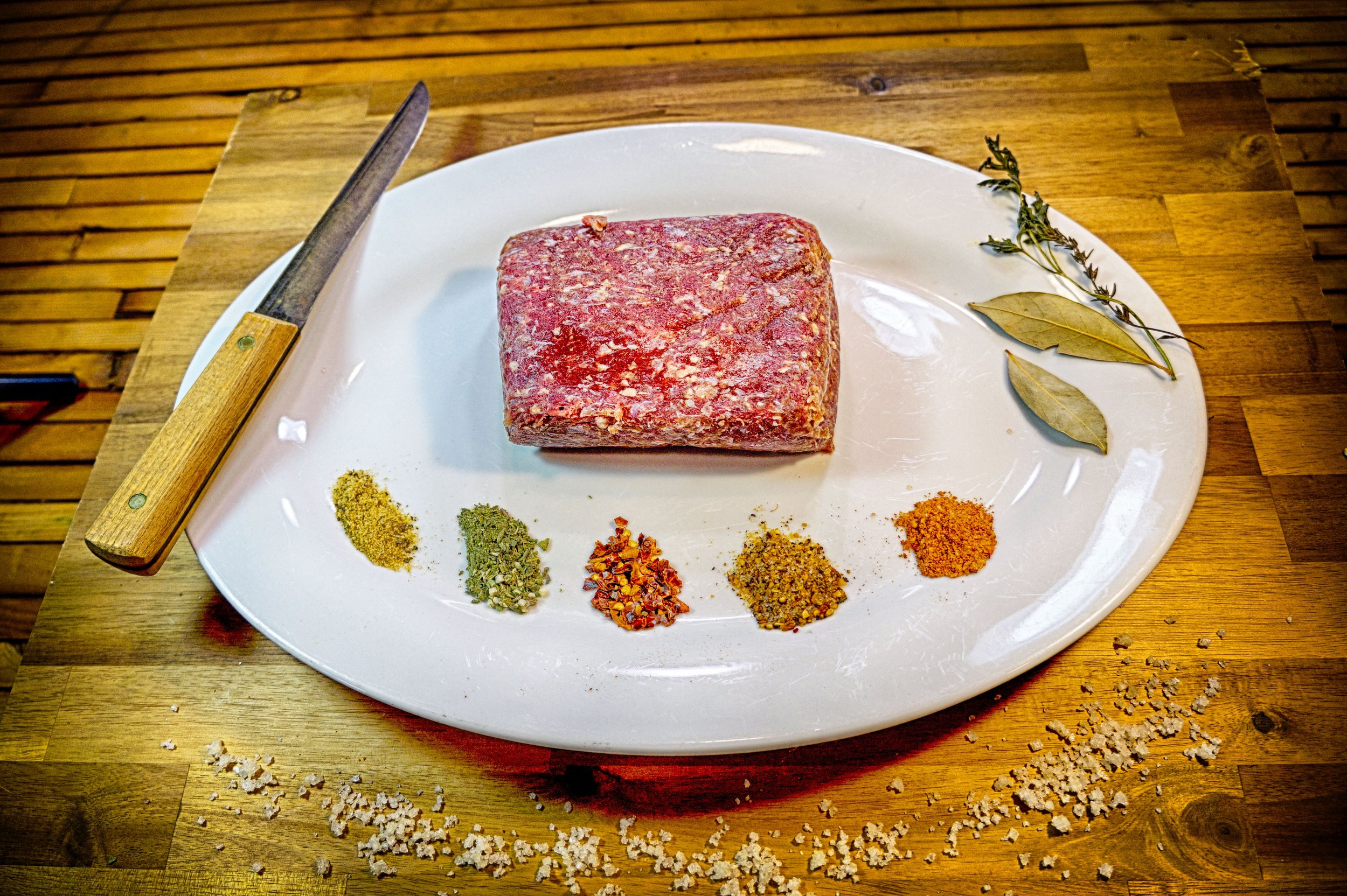 Bison-Ground.JPG