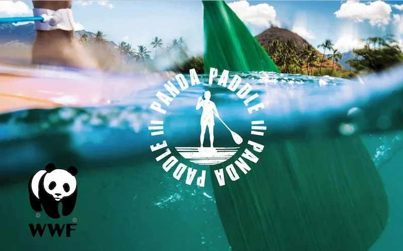 WWF Panda Paddle.jpg.jpeg