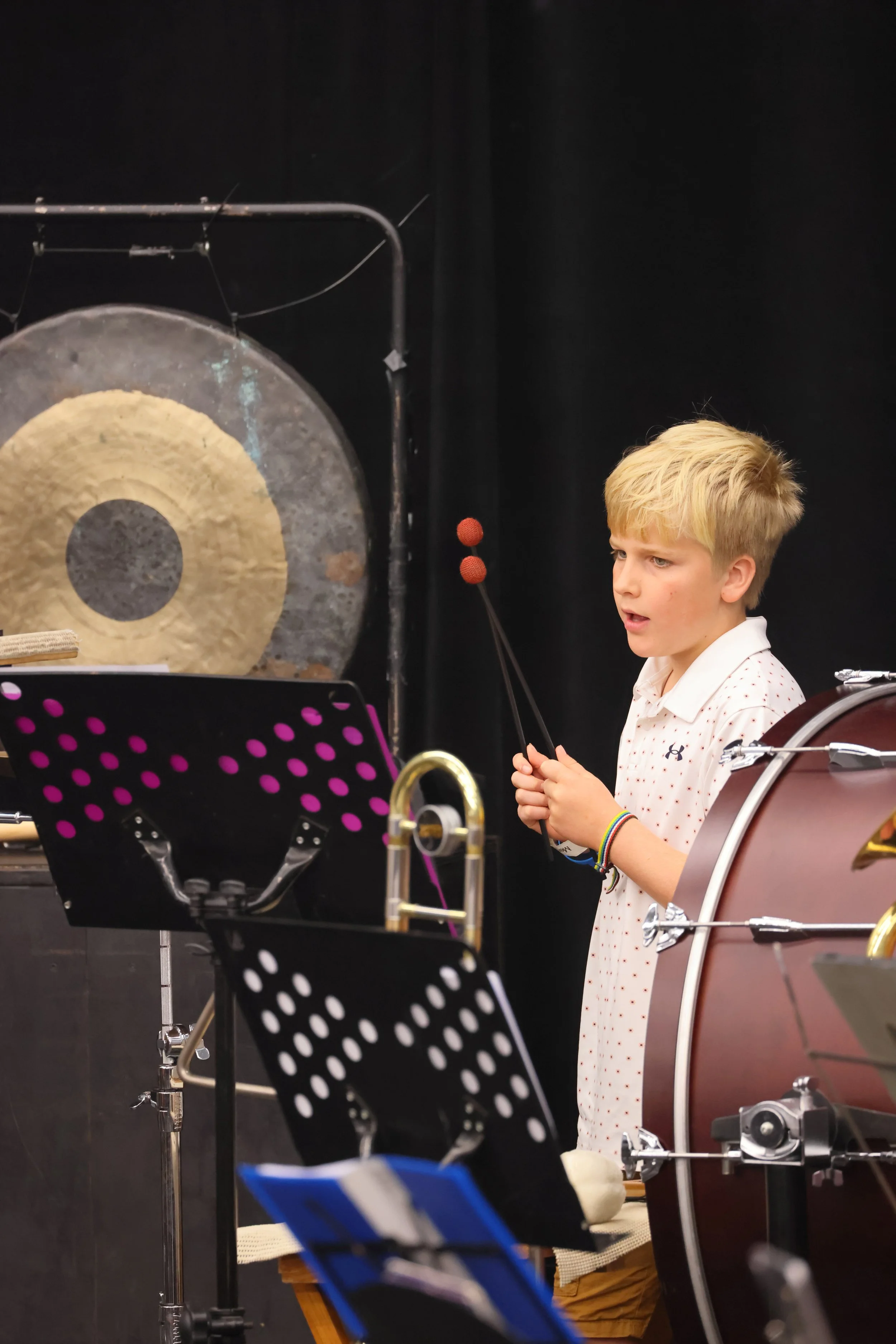 NZCT Grant Hits All the Right Notes for Taupō Concert Band!