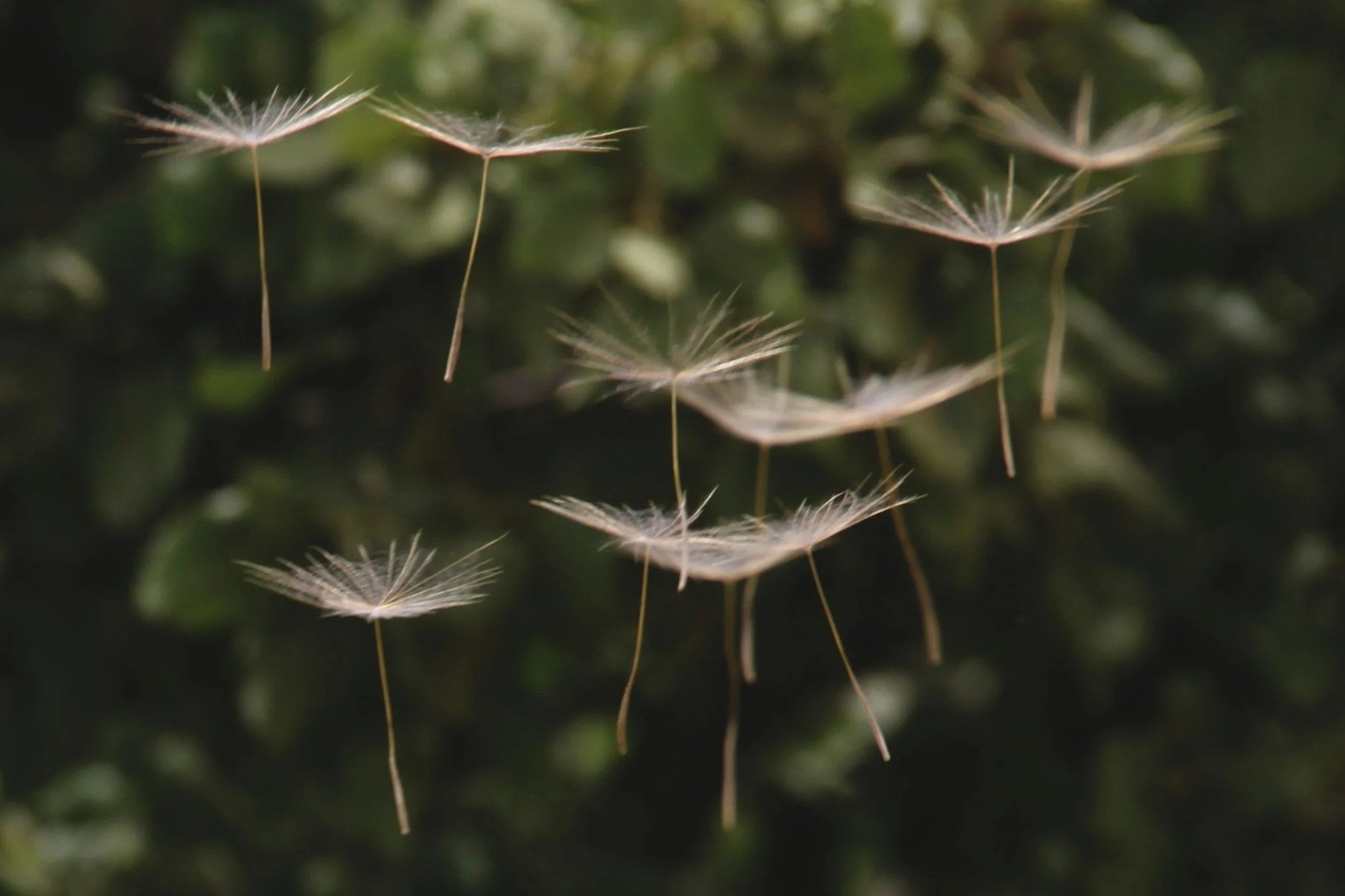 Signs of Birth Trauma You Might Be Overlooking