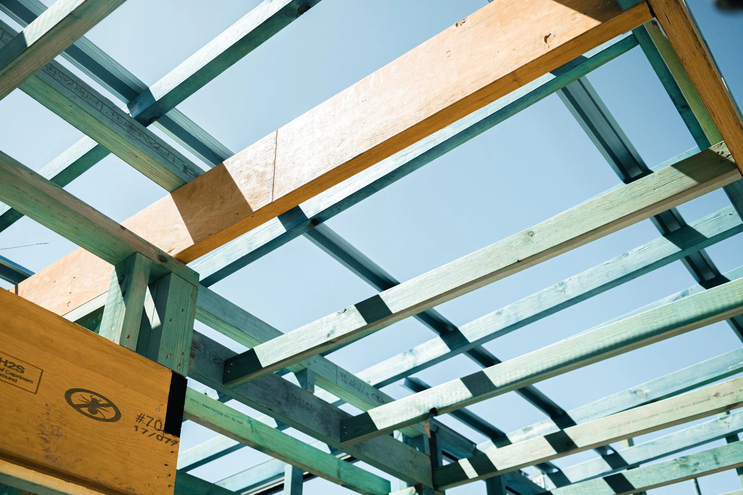 Taha Project Group Austral Photoshoot-12.jpg